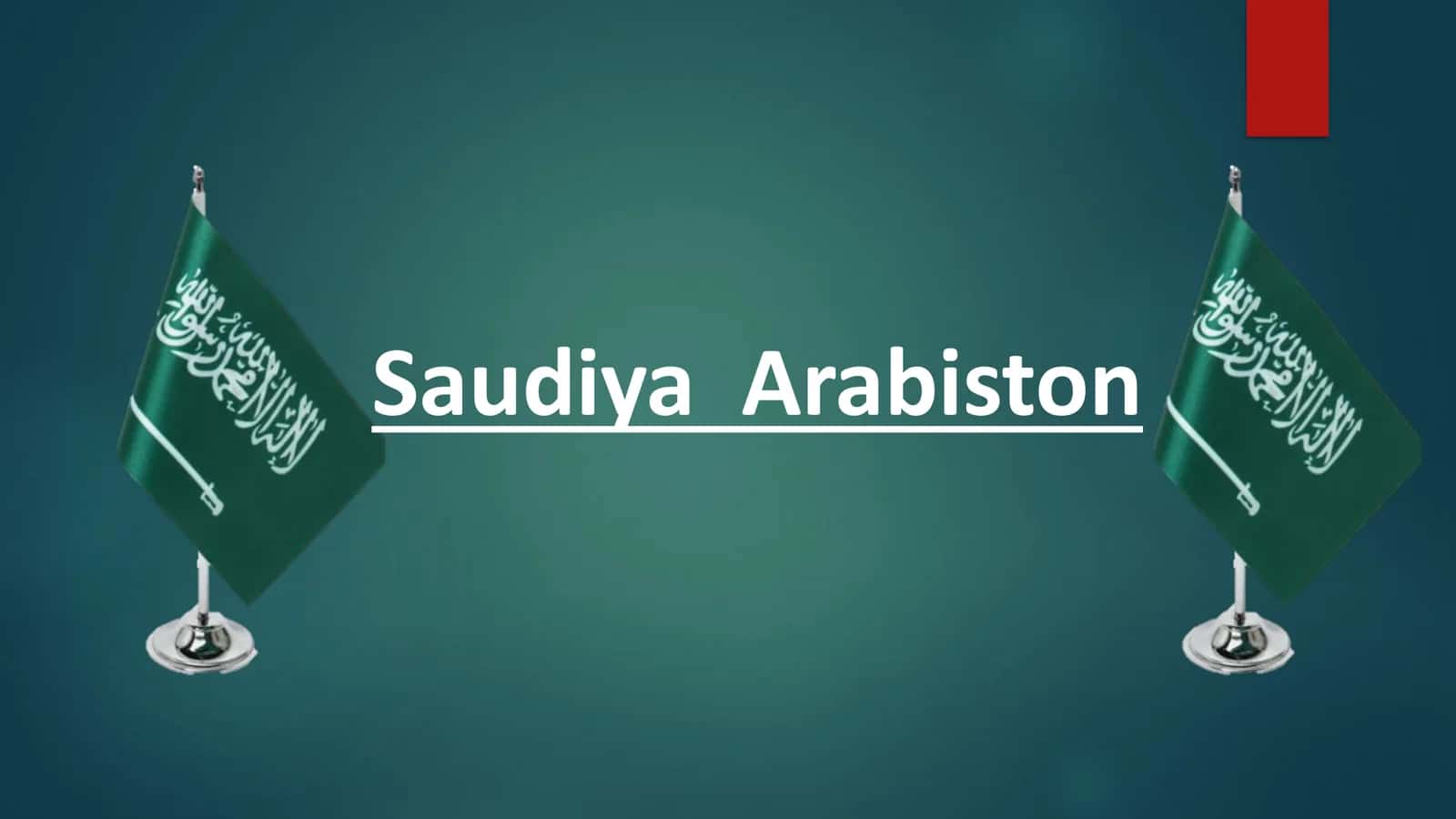 Saudiya Arabistoni davlat byudjeti tizimi
