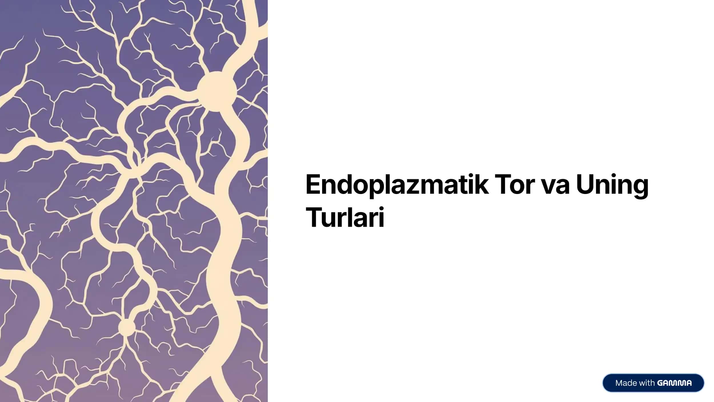 Endoplazmatik Tor (ET)