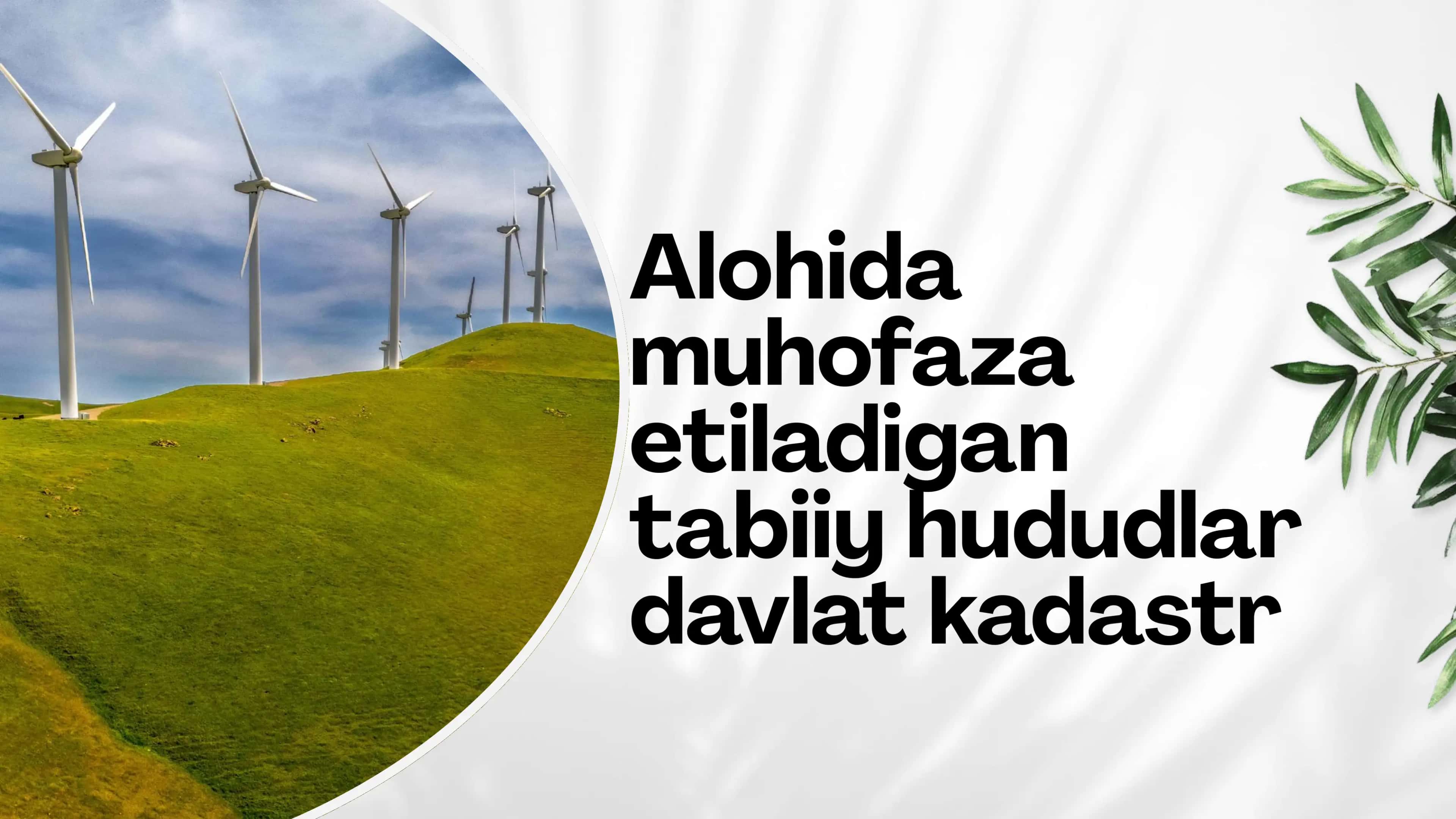 Alohida muhofaza etiladigan tabiiy hududlar (AMETH)