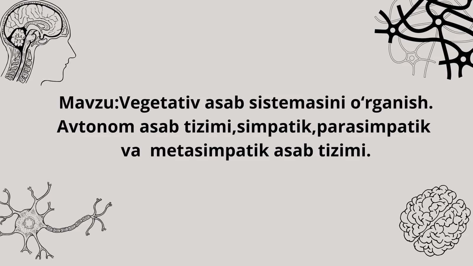 Vegetativ asab sistemasini oʻrganish