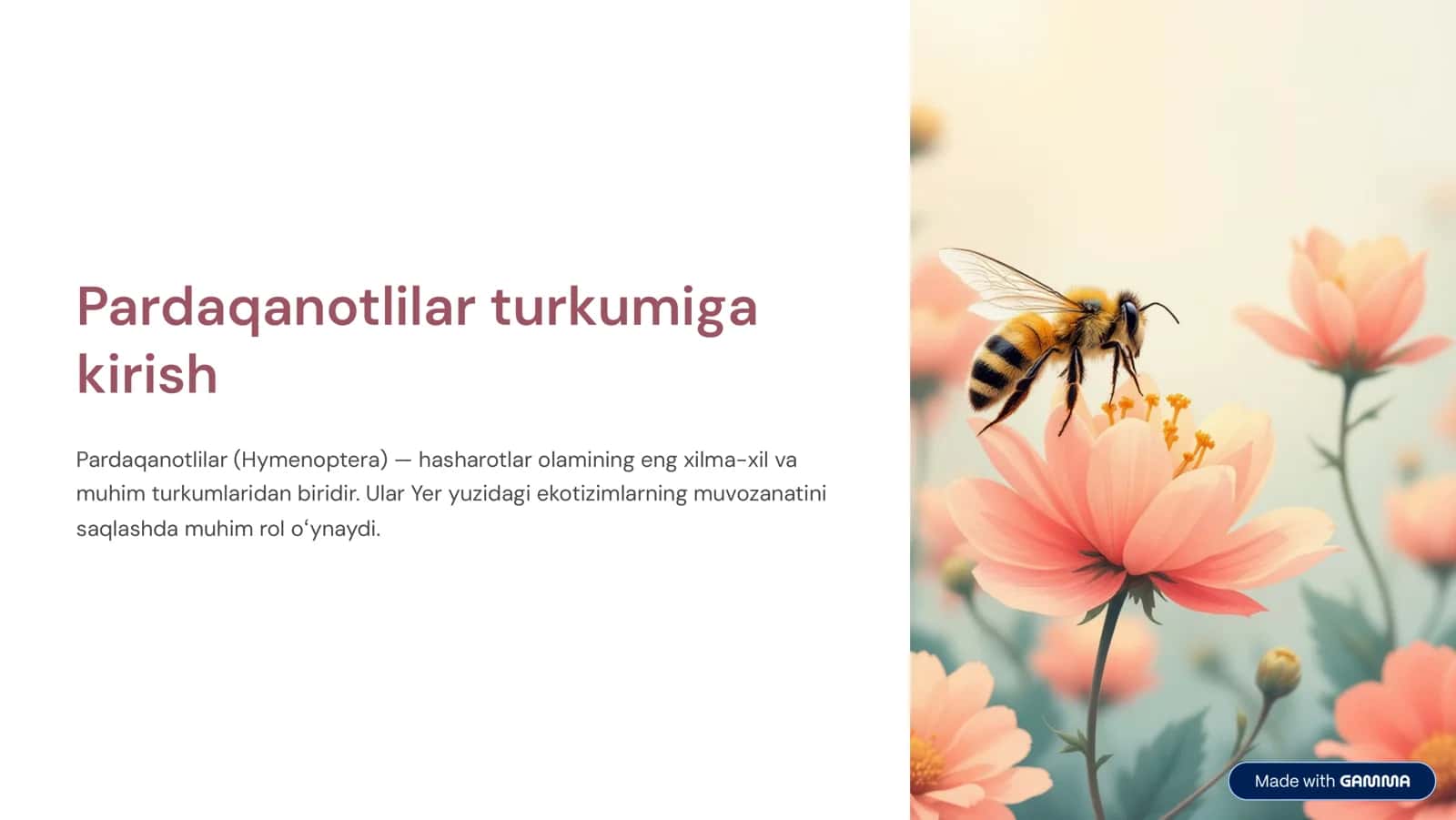 Pardaqanotlilar turkumiga kirish