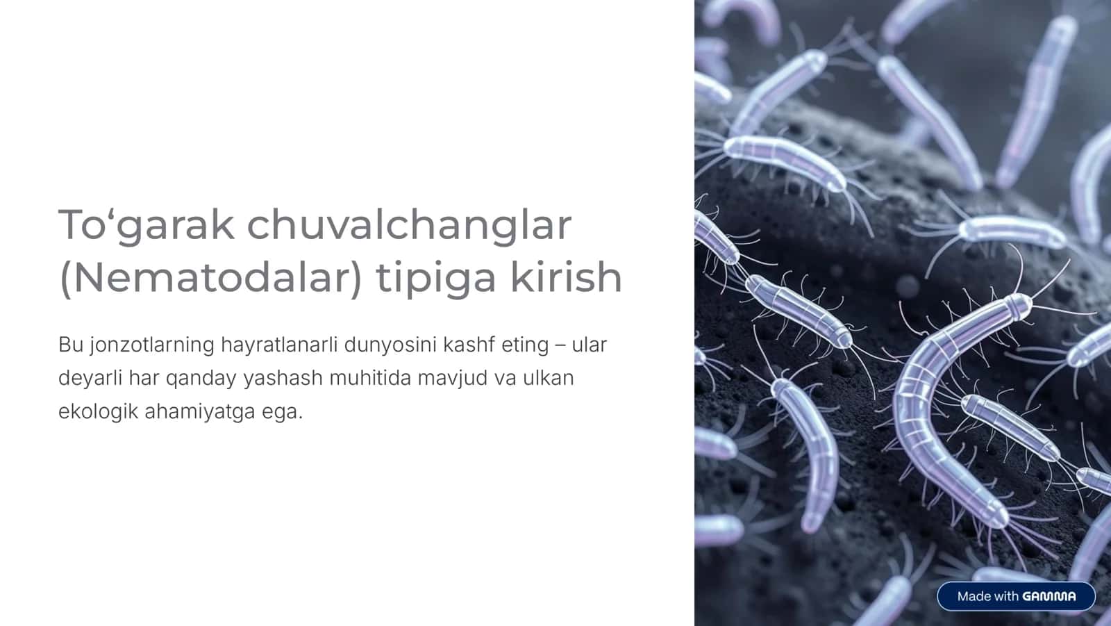 To'garak chuvalchanglar (Nematodalar)