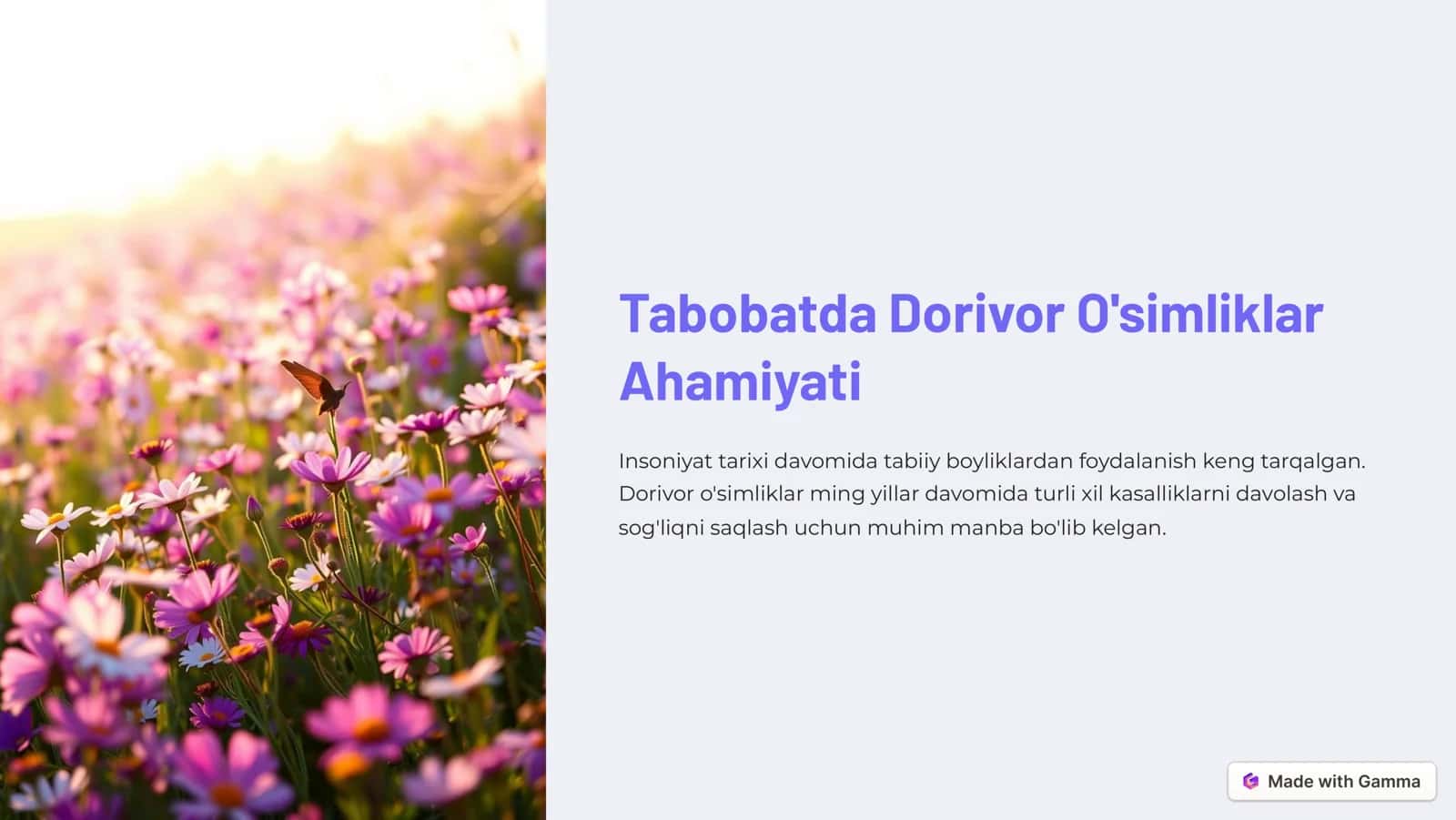 Dorivor O'simliklar