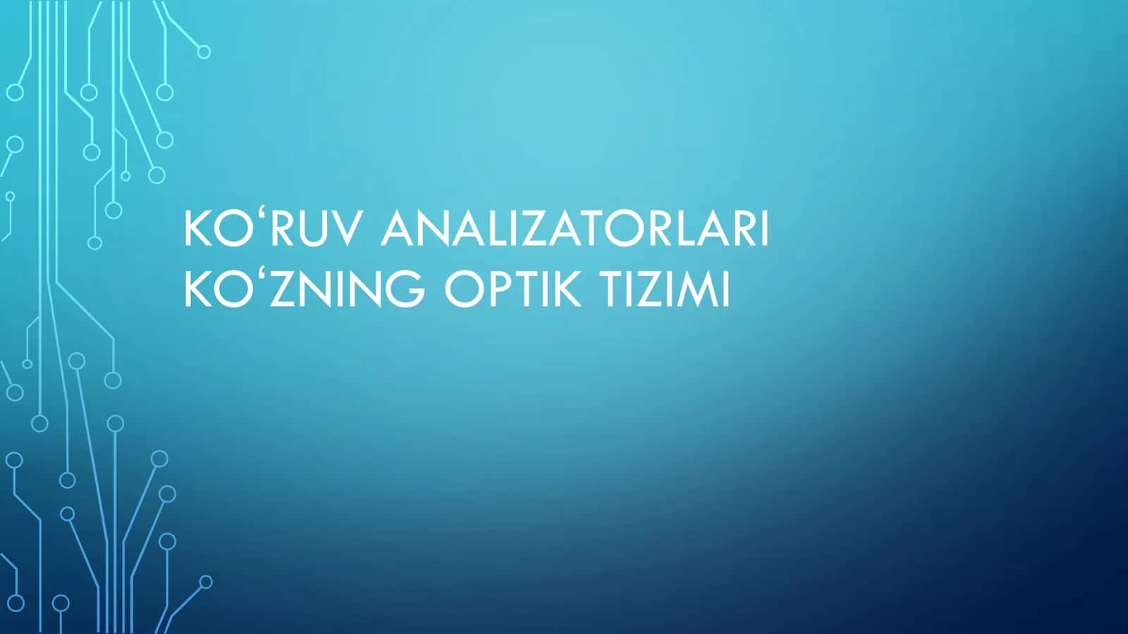 KOʻRUV ANALIZATORLARI
