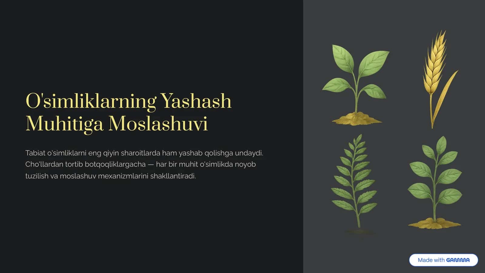 O'simliklarning Yashash Muhitiga Moslashuvi