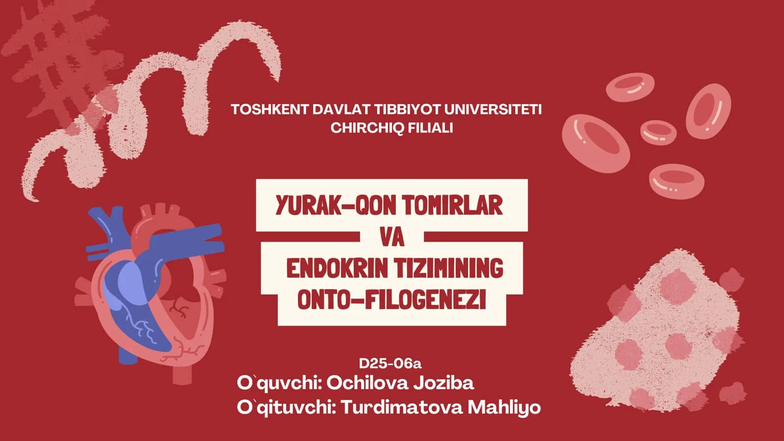 YURAK-QON TOMIRLAR VA ENDOKRIN TIZIMINING ONTO-FILOGENEZI