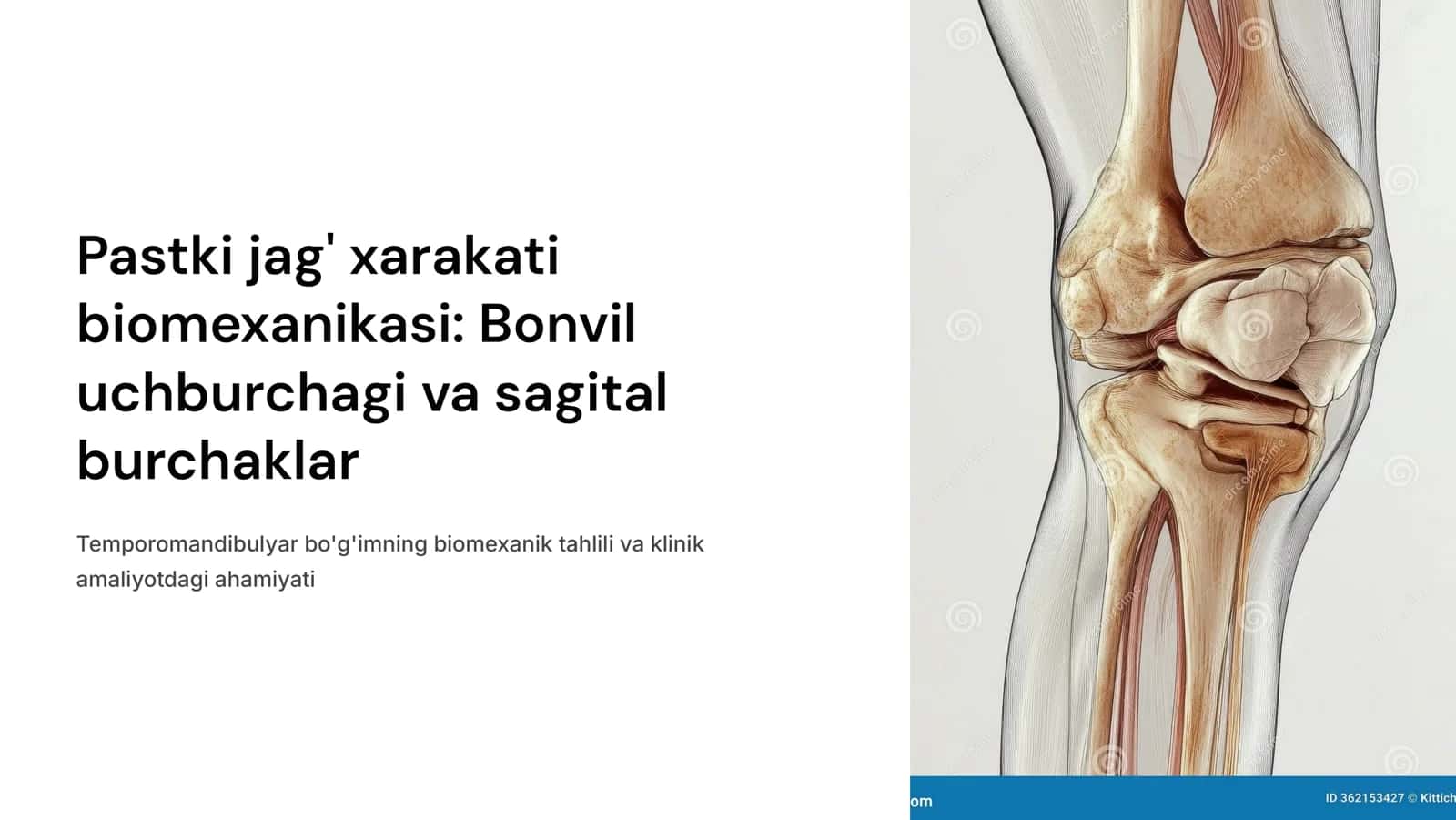 Pastki jag‘ xarakati biomexanikasi.Bonvil uchburchagi,sagital kesuv yo‘li burchagi,sagital bo‘g‘im yo‘li burchagi.
