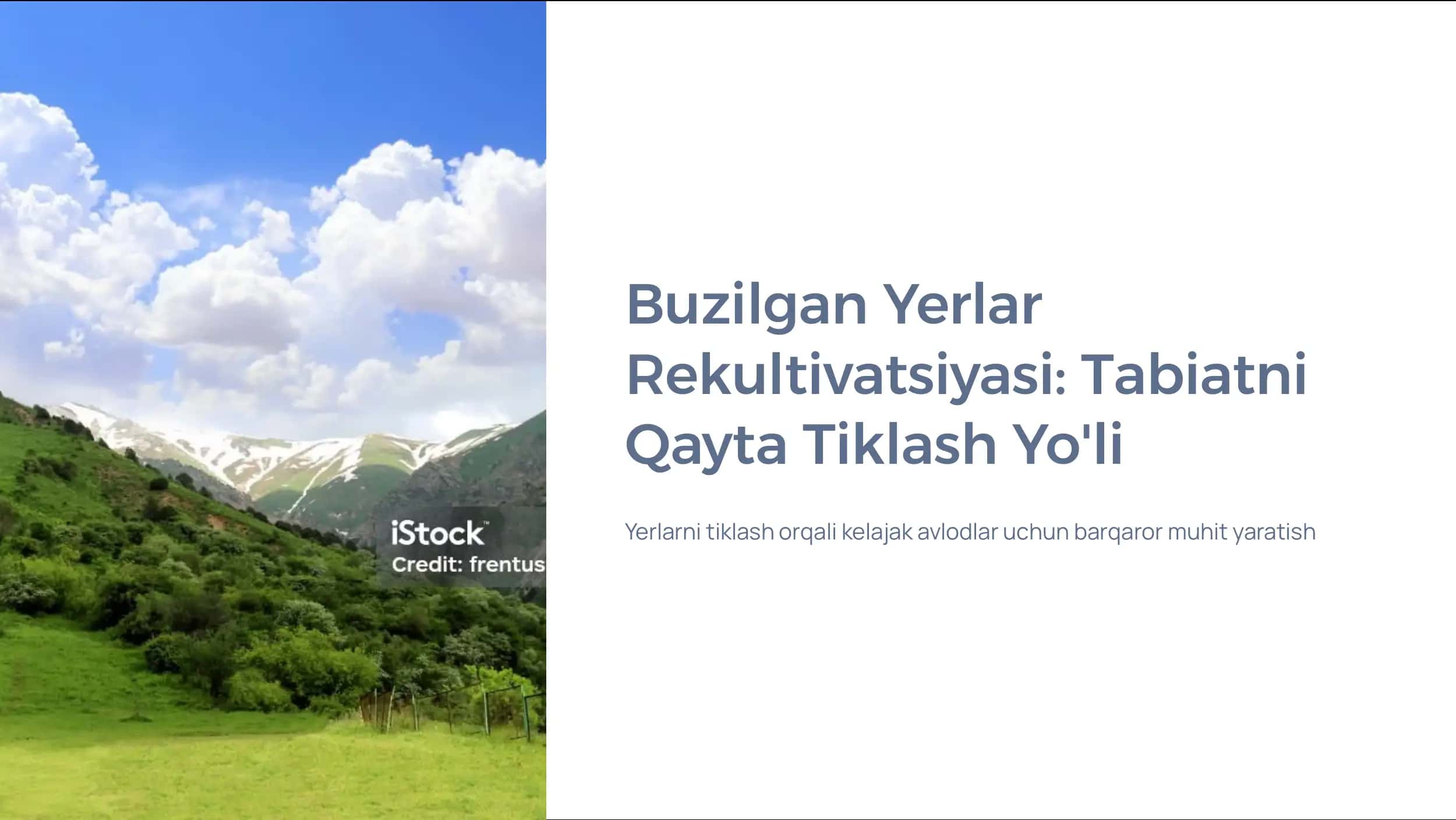 Buzilgan Yerlar Rekultivatsiyasi