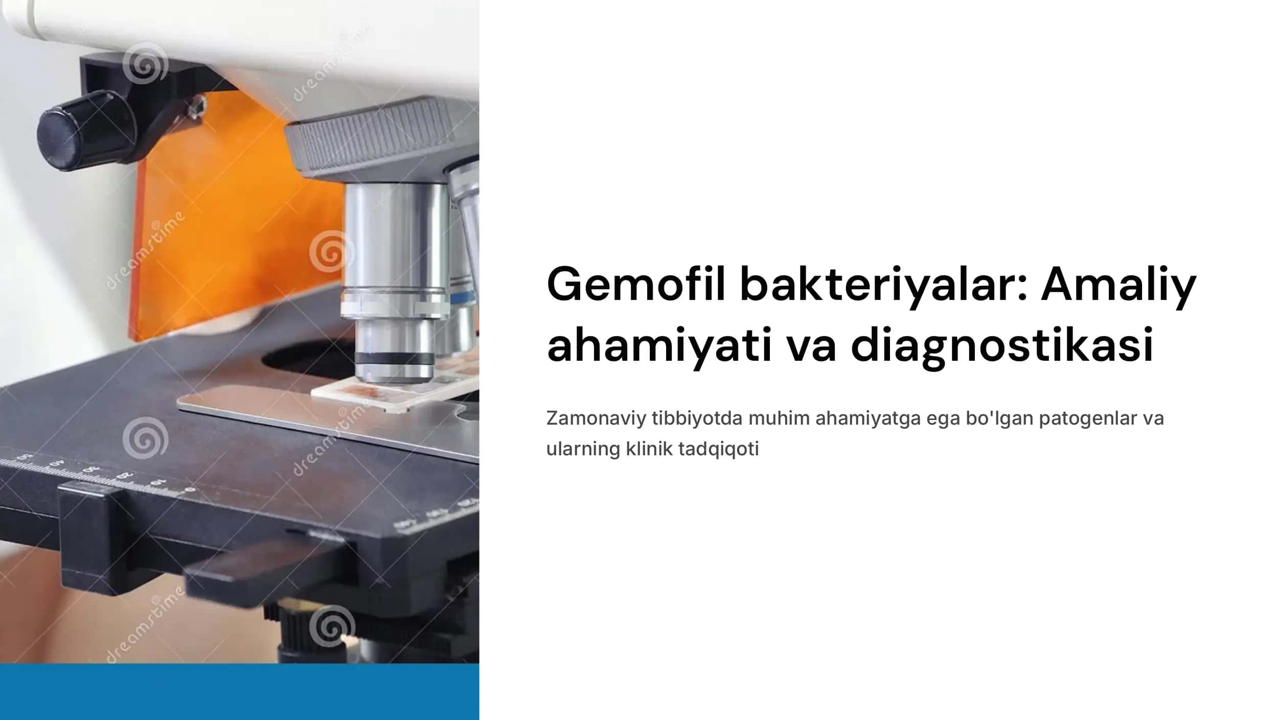 Gemofil bakteriyalarni (inflyuensa tayoqchasi, yumshoq shankr qo'zg'atuvchisi) amaliyotdagi ahamiyati, diagnostikasi.