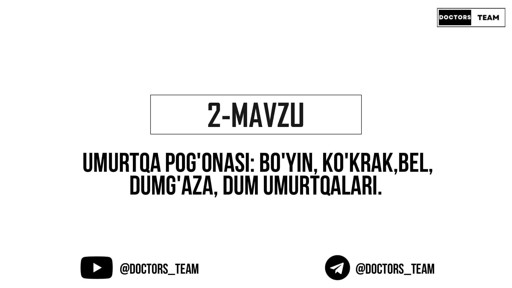 Umurtqa pog'onasi