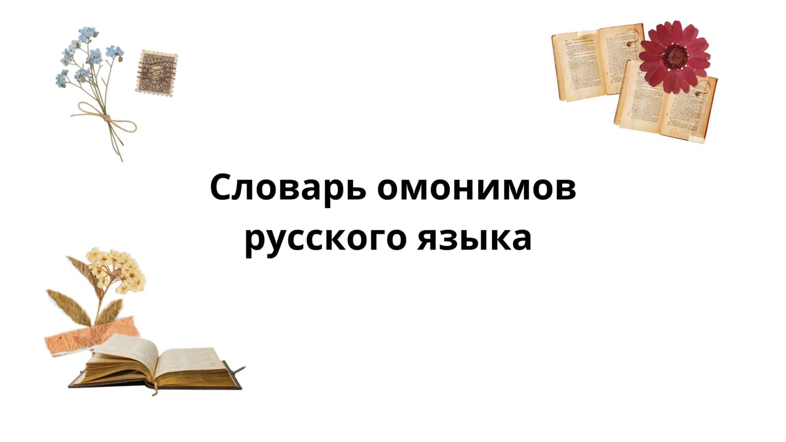 Словарь омонимов русского языка
