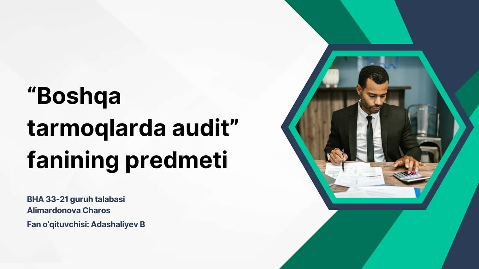 Boshqa tarmoqlarda audit