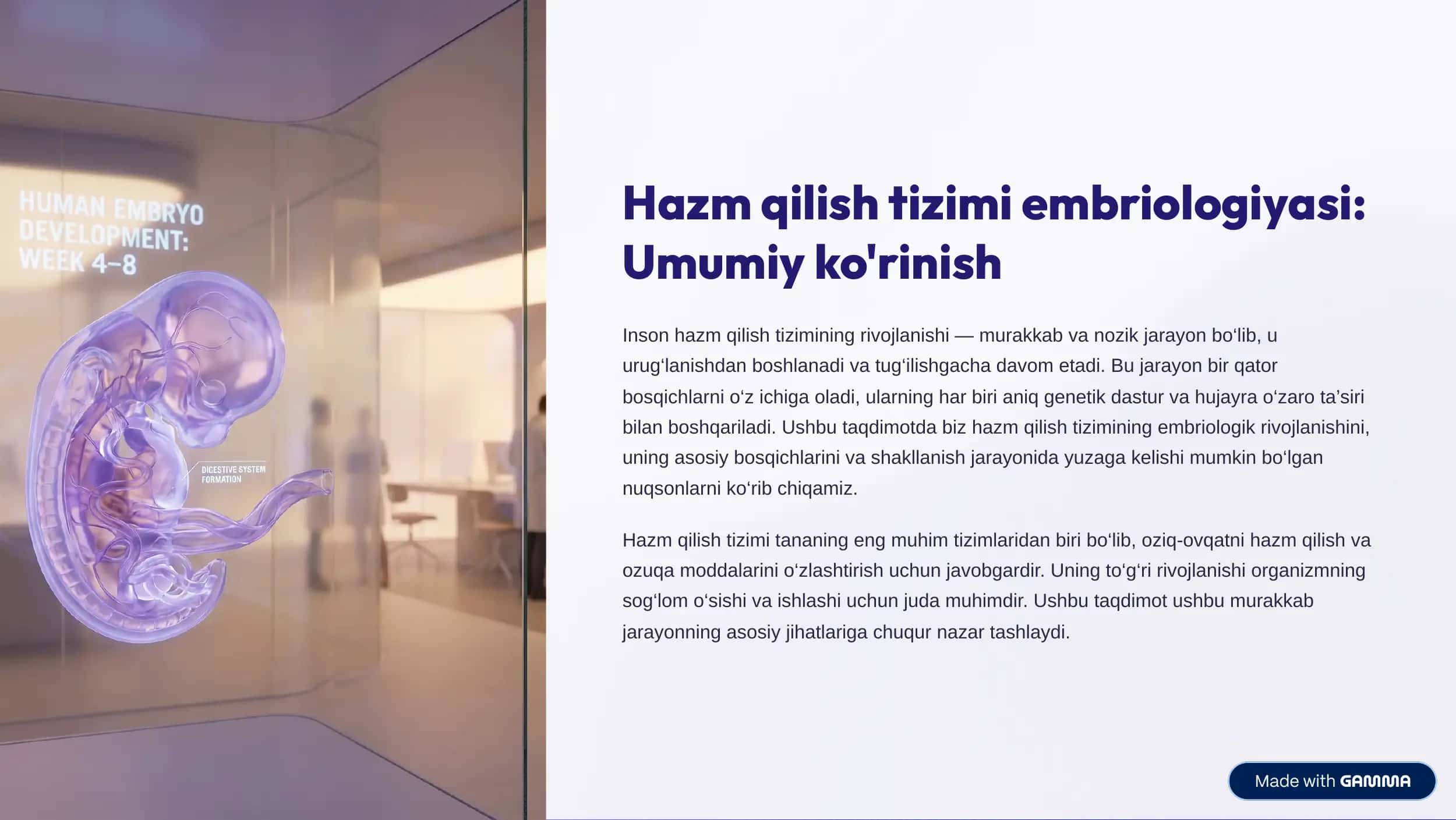 Hazm qilish tizimi embriologiyasi