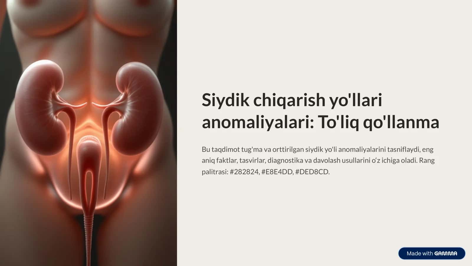 Siydik chiqarish yo'llari anomaliyalari: To'liq qo'llanma