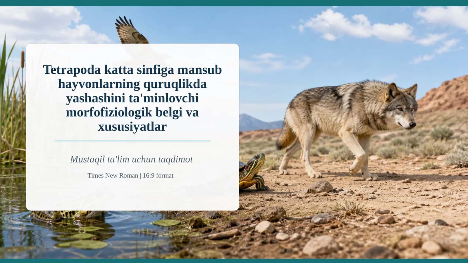 Tetrapoda katta sinfiga mansub hayvonlarning quruqlikda yashashini ta'minlovchi morfofiziologik belgi va xususiyatlar