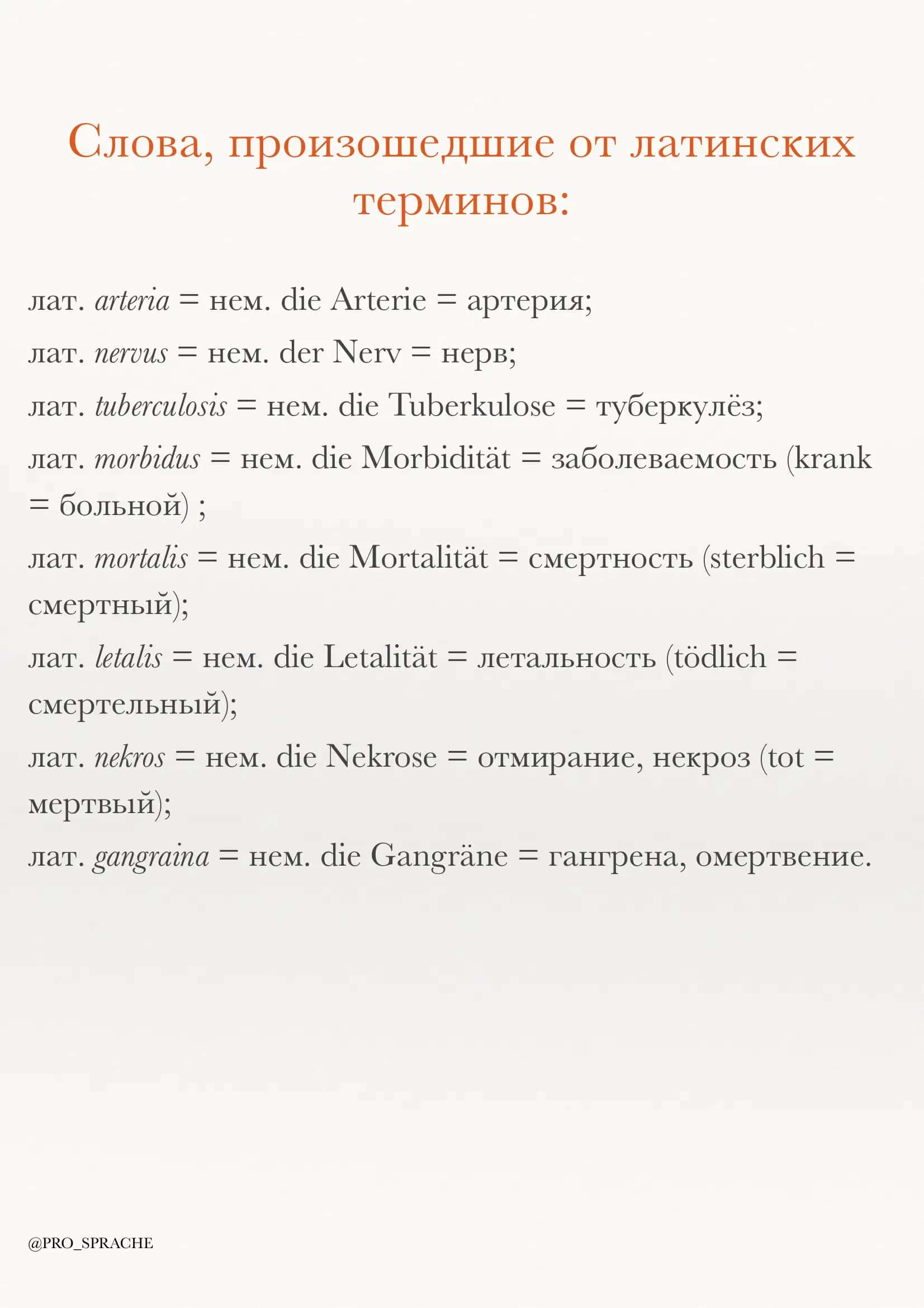 So'zlar nemis rus tili