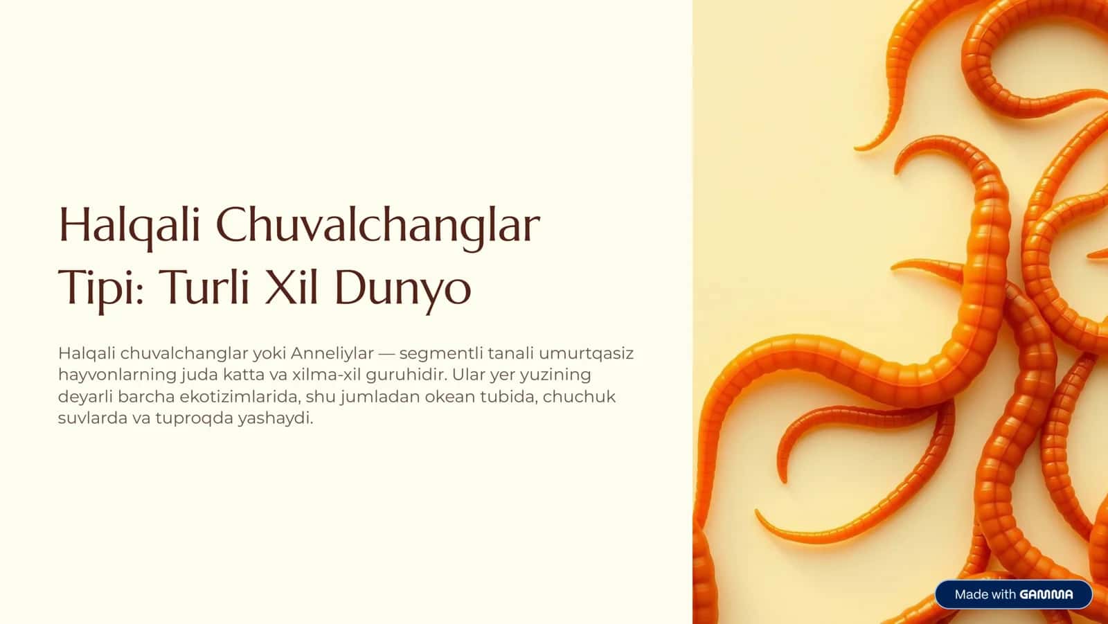 Halqali Chuvalchanglar