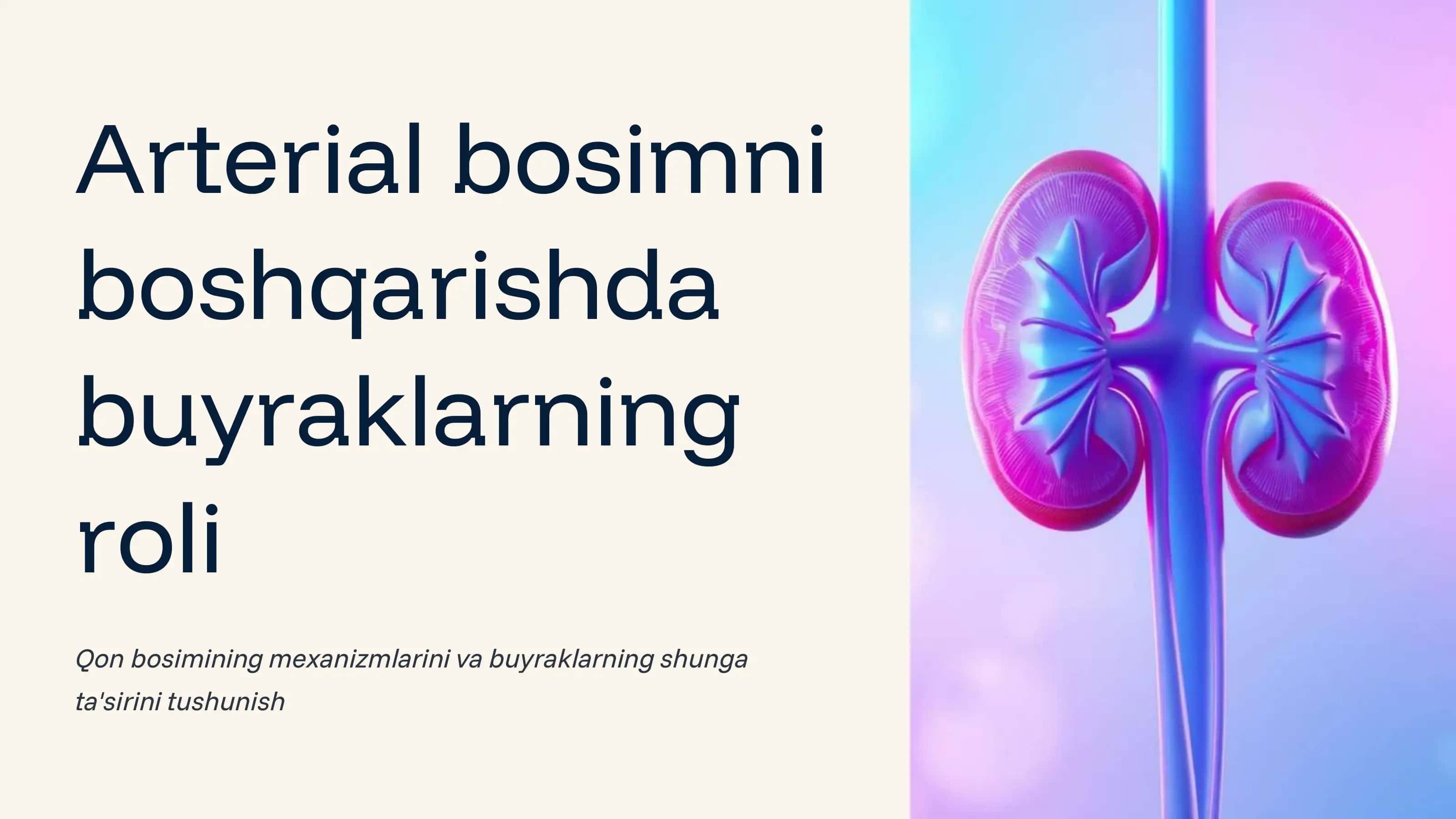 Arterial bosimni boshqarishda buyraklarning roli