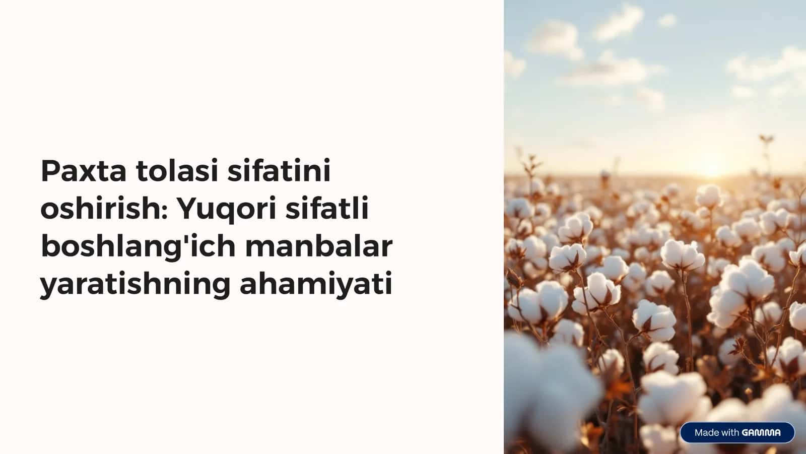 Paxta tolasi sifatini oshirish: Yuqori sifatli boshlang'ich manbalar yaratishning ahamiyati