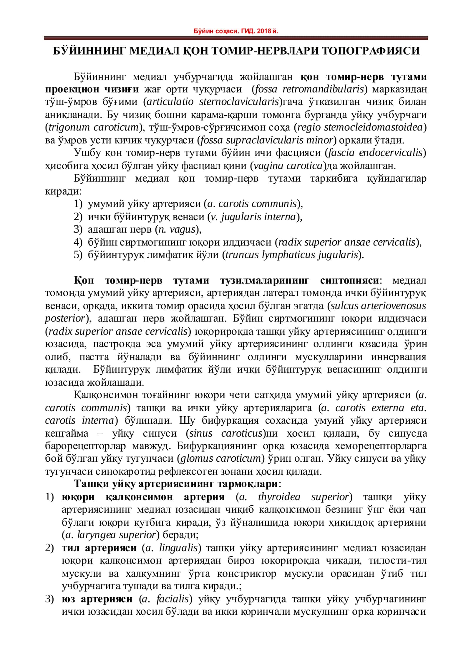 БЎЙИННИНГ МЕДИАЛ ҚОН ТОМИР-НЕРВЛАРИ ТОПОГРАФИЯСИ