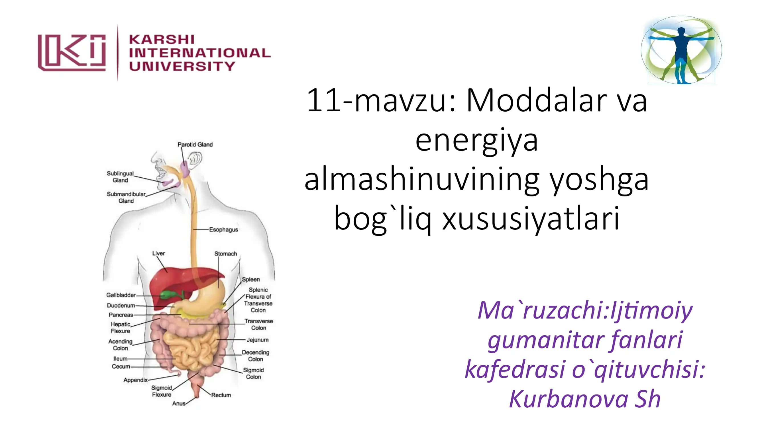 Moddalar va energiya almashinuvi