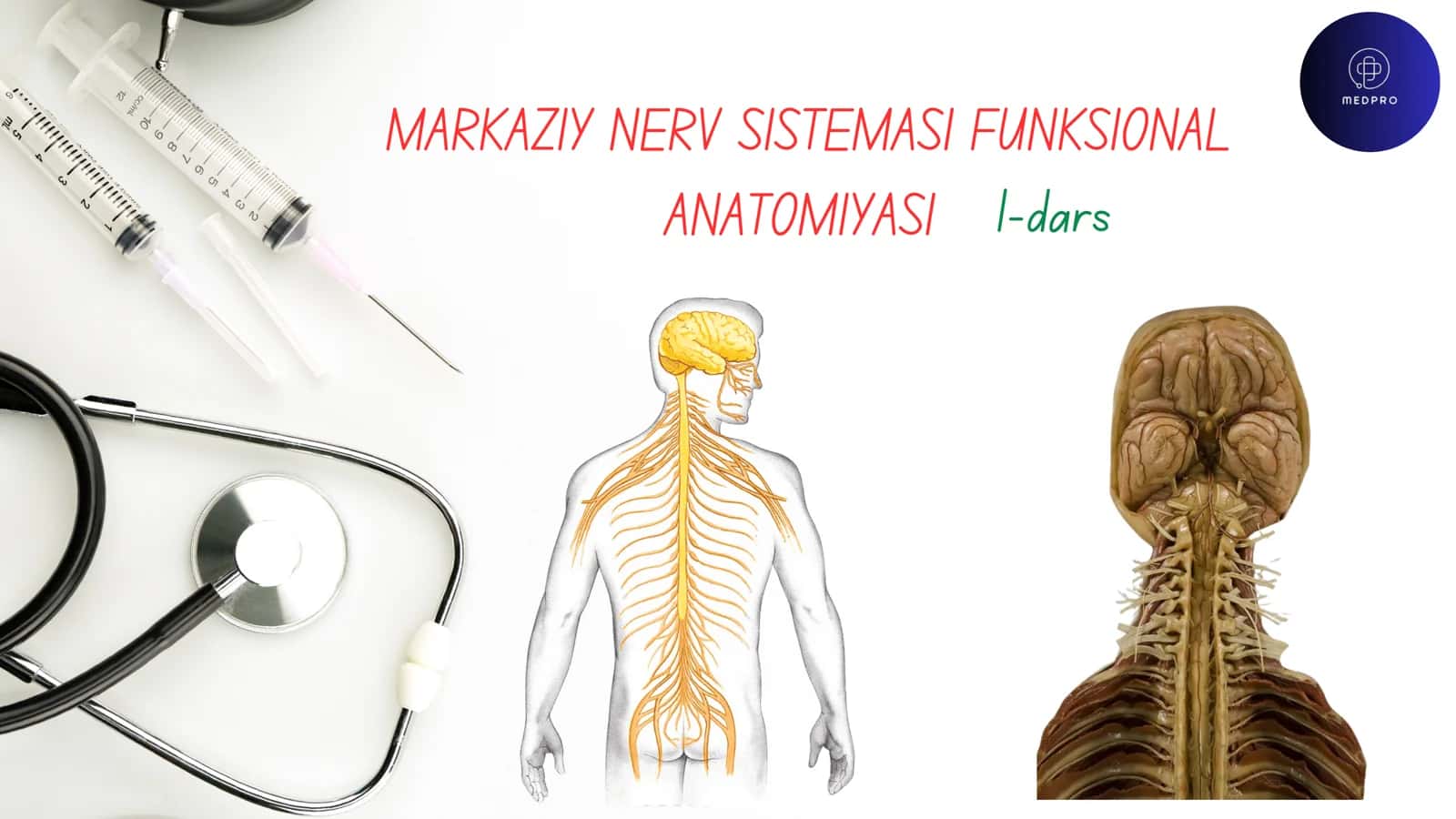 MARKAZIY NERV SISTEMASI FUNKSIONAL ANATOMIYASI 1-dars
