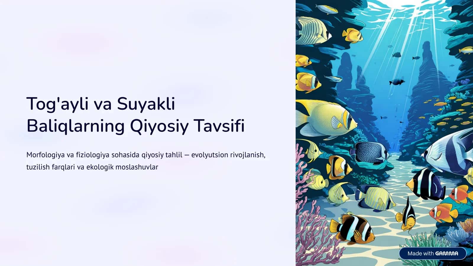 Baliqlarning Qiyosiy Tavsifi