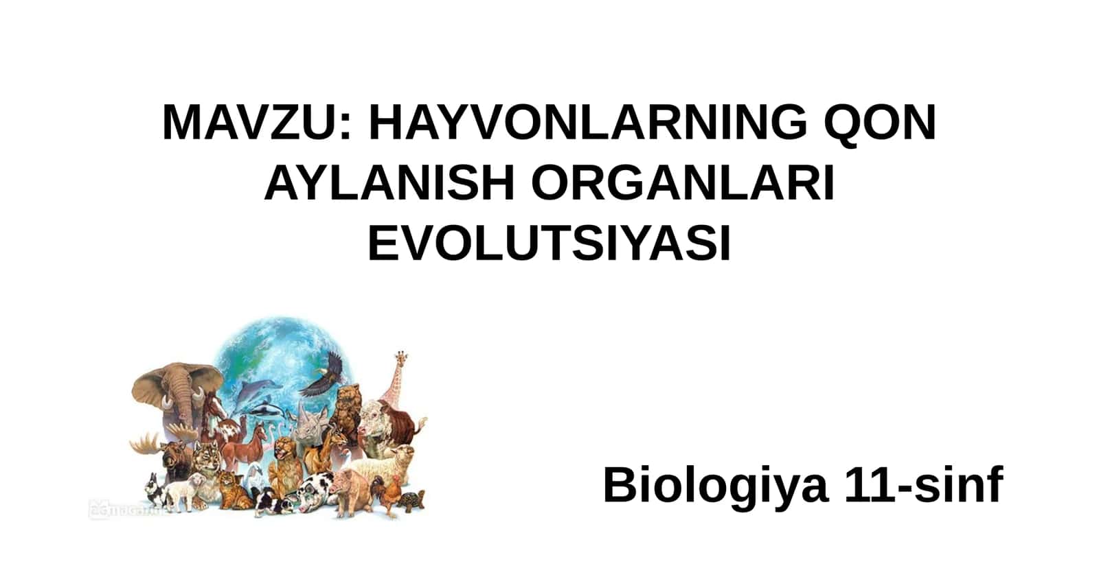 11-Sinf Biologiya: “Hayvonlarning Qon Aylanish Organlari Evolyutsiyasi” Taqdimot
