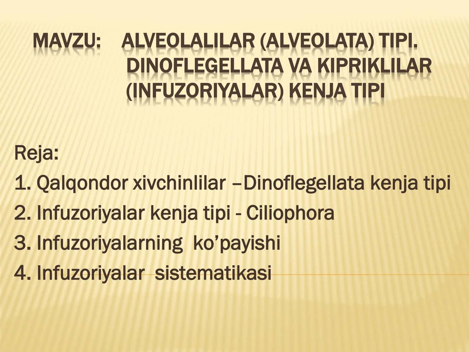 ALVEOLALILAR (ALVEOLATA) TIPI