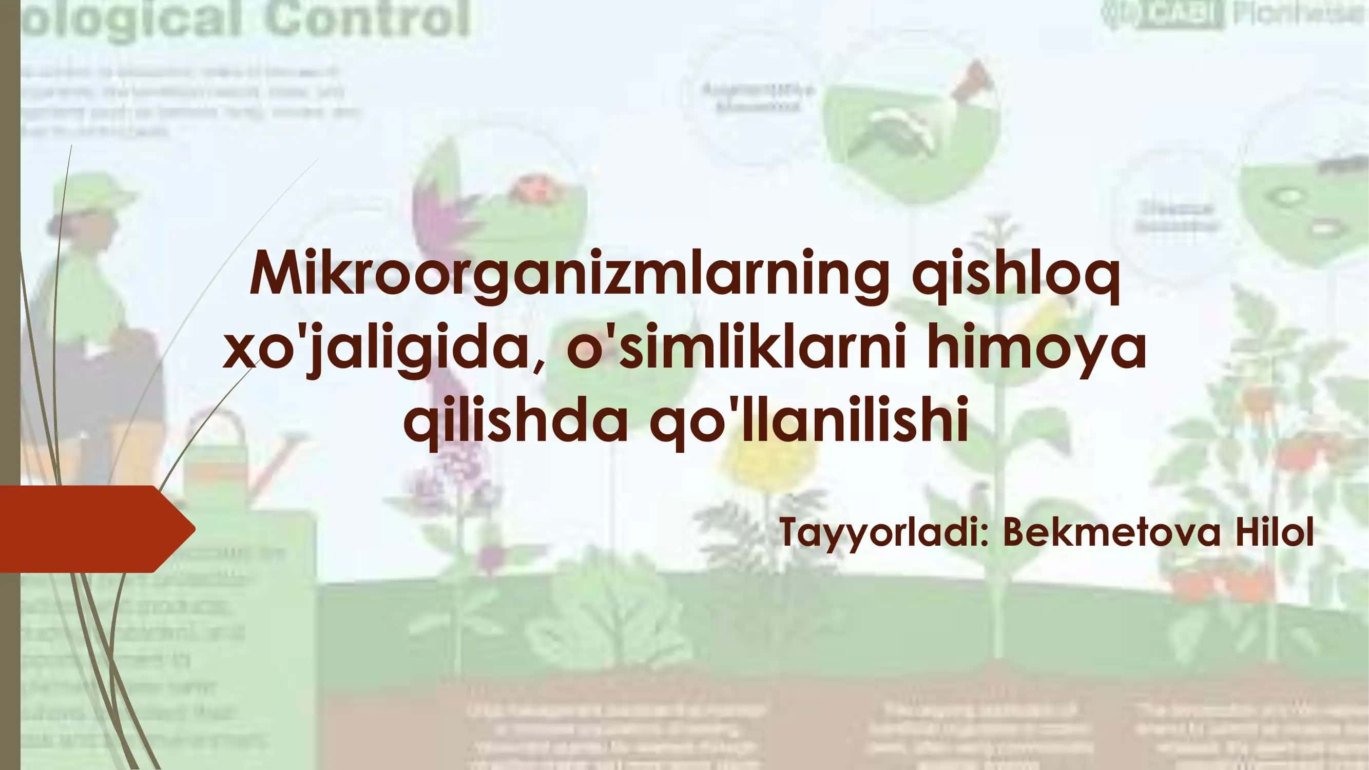 Mikroorganizmlarning qishloq xo'jaligida, o'simliklarni himoya qilishda qo'llanilishi