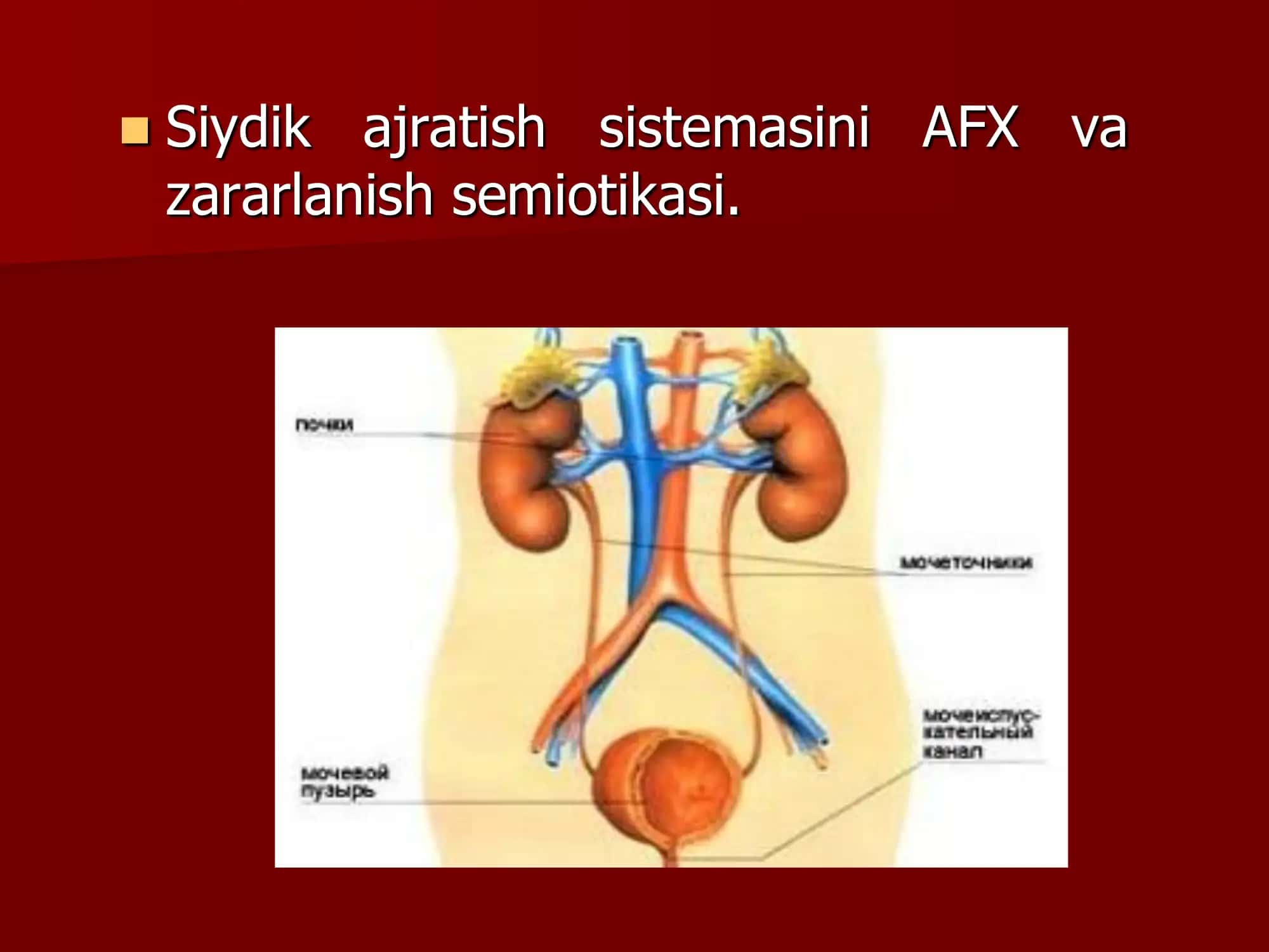 Siydik ajratish sistemasini АFX va zararlanish semiotikasi