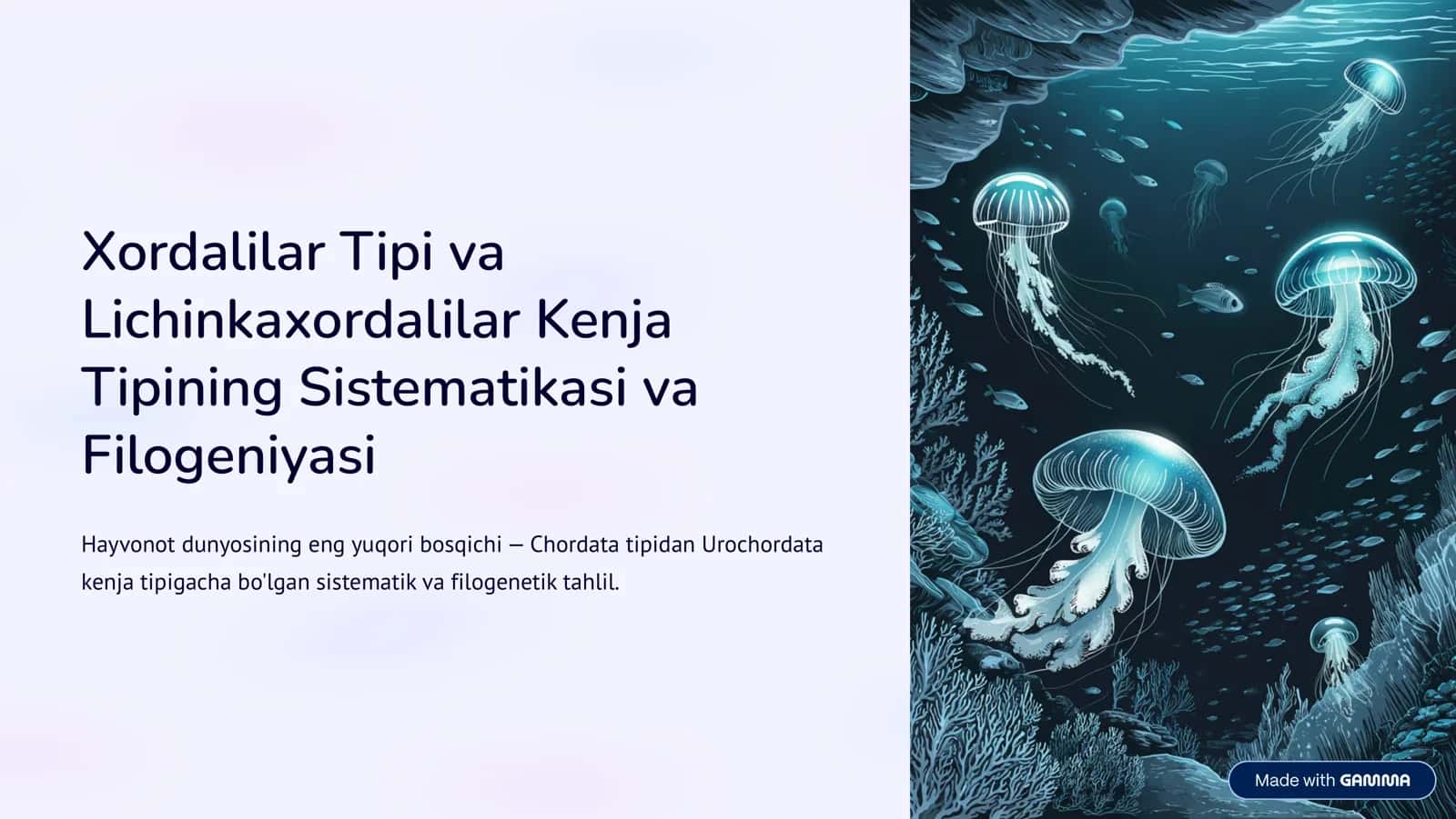 Lichinkaxordalilar Kenja Tipining Sistematikasi va Filogeniyasi