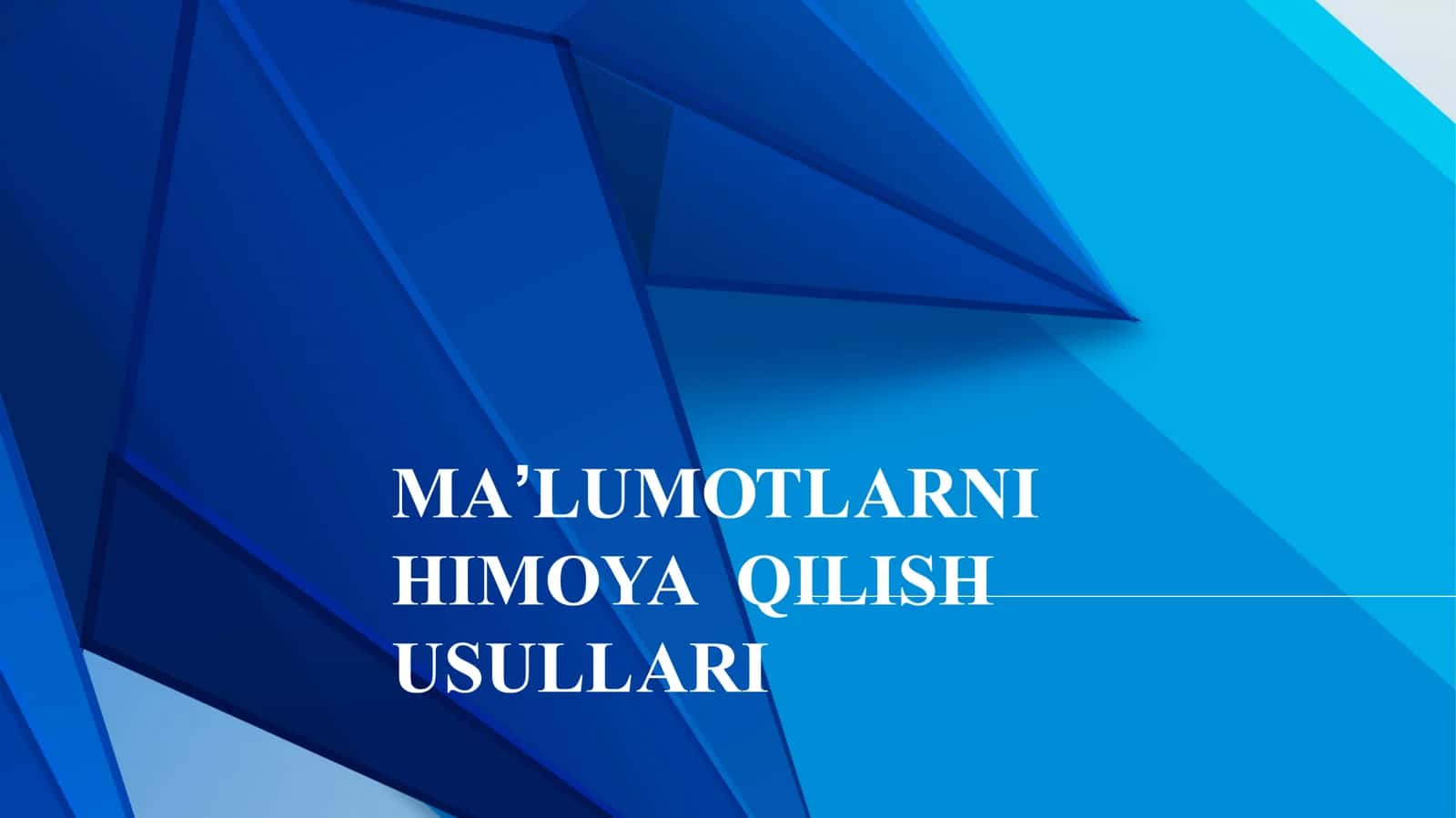 Ma'lumotlarni himoya qilish