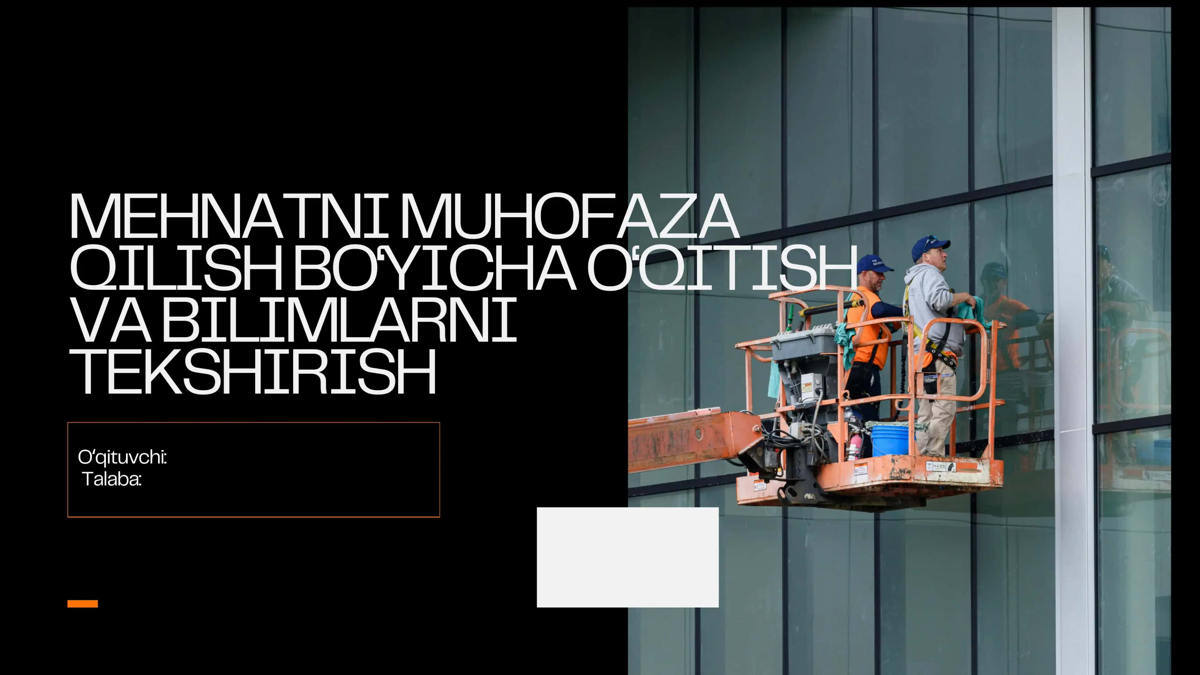 Mehnat muhofazasi