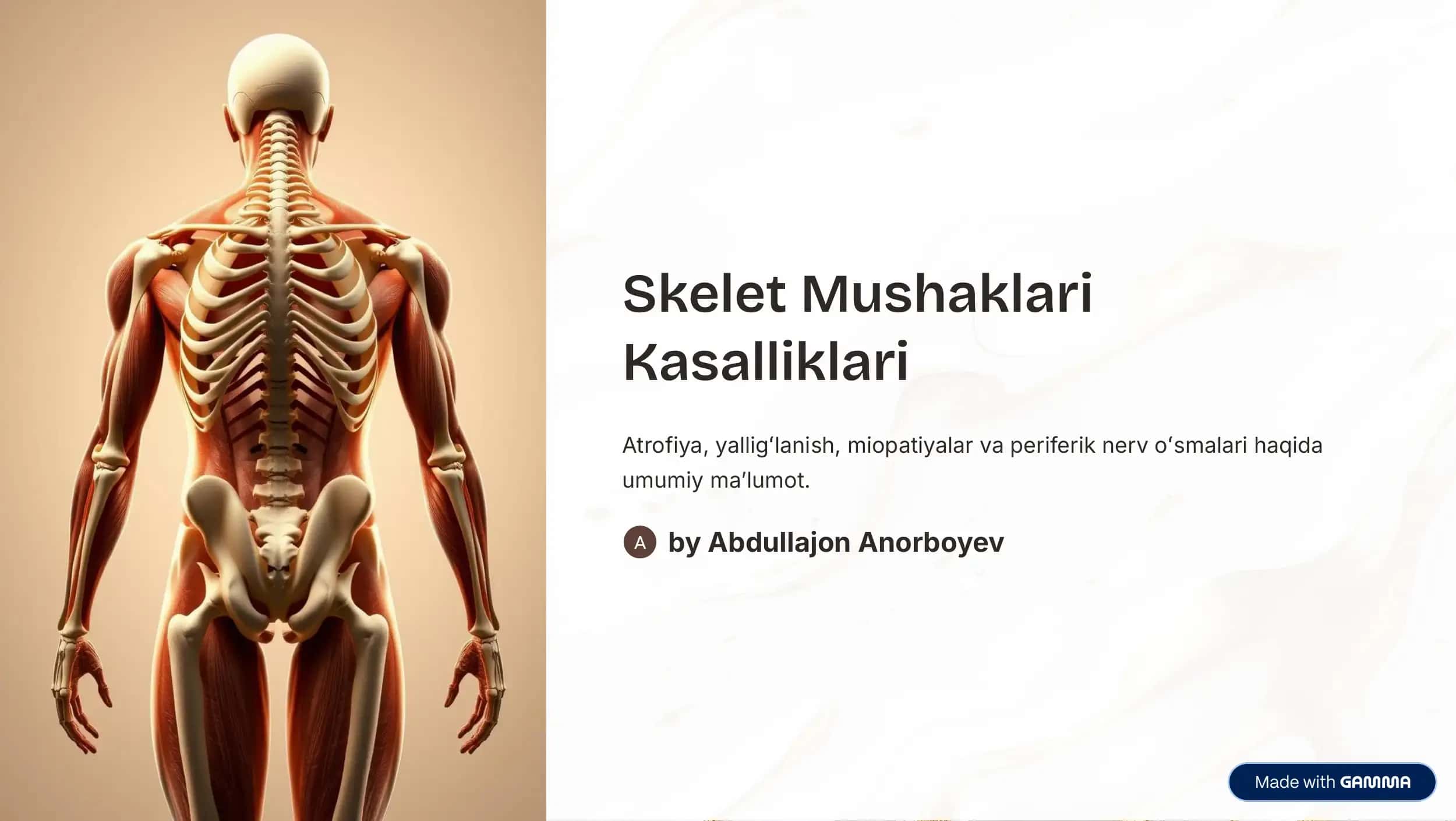 Skelet Mushaklari