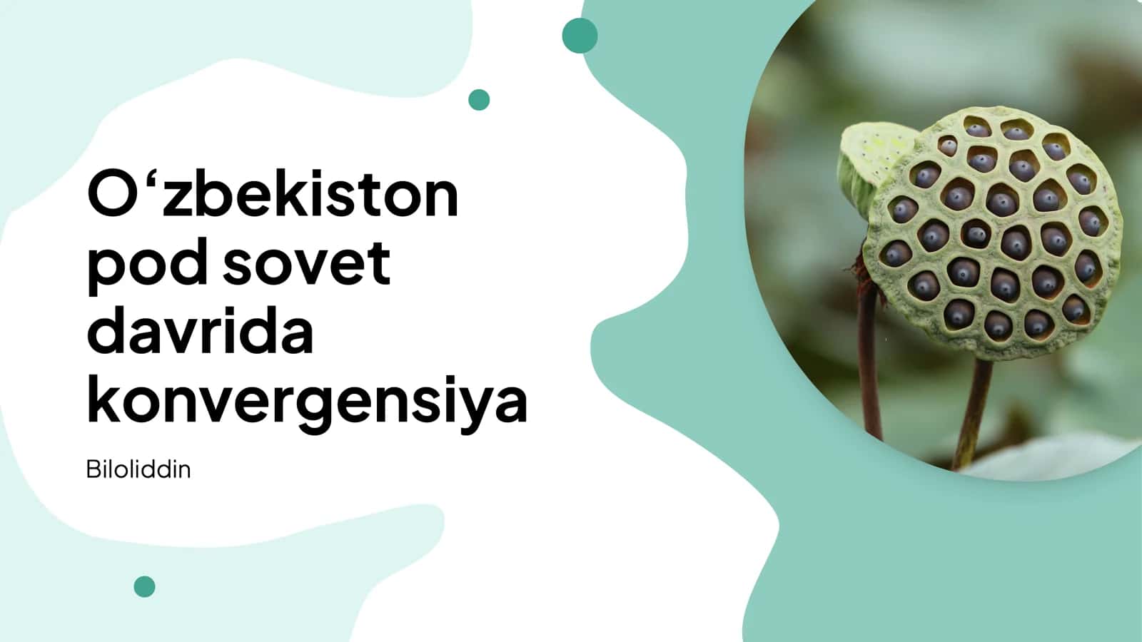 Iqtisodiy konvergensiya va rejalashtirish