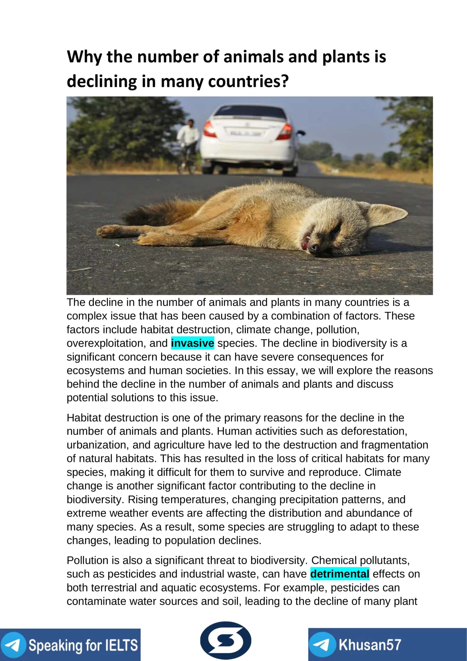 Why the number of animals and plants is declining in many countries?