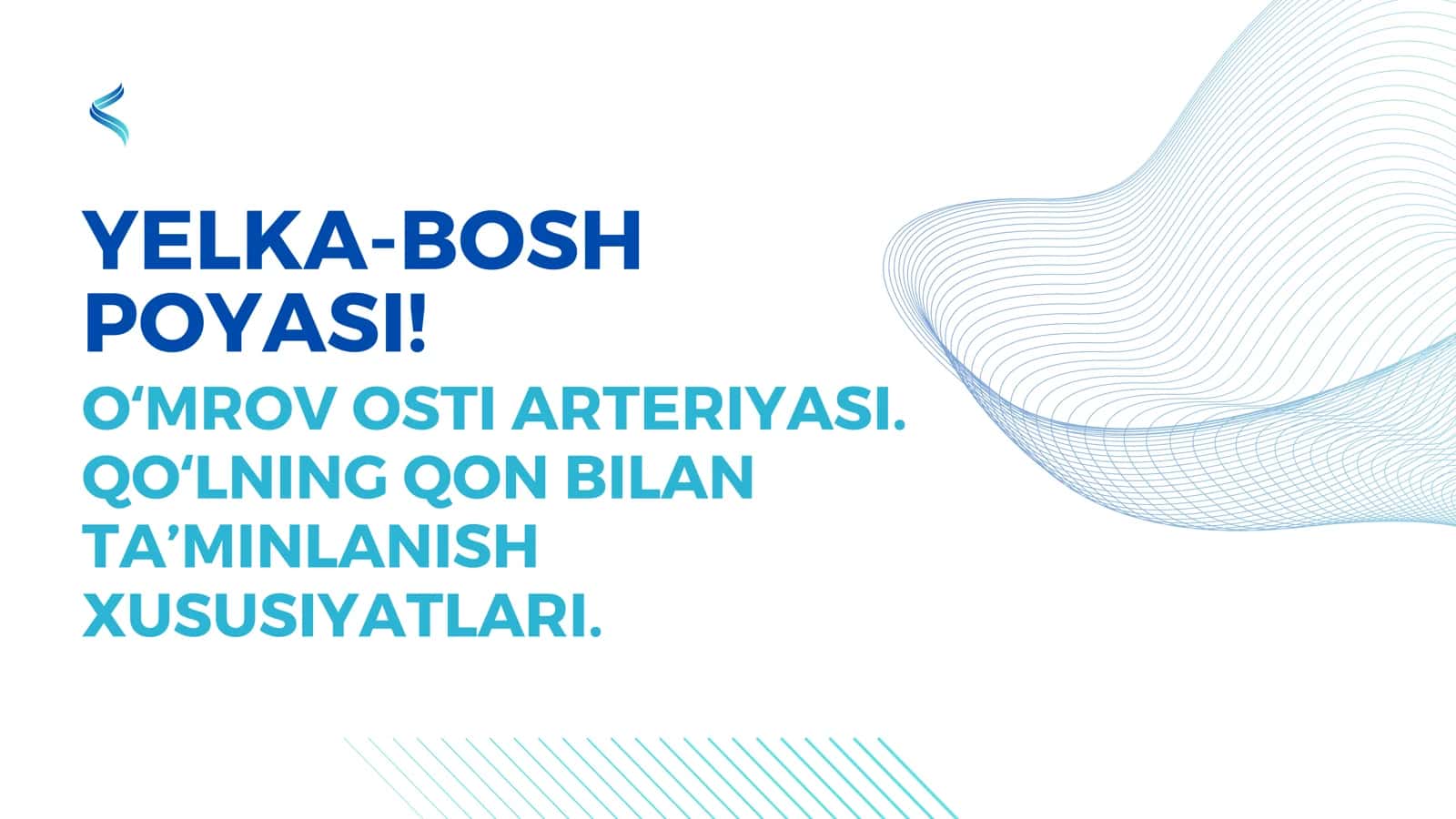 Yelka-bosh poyasi