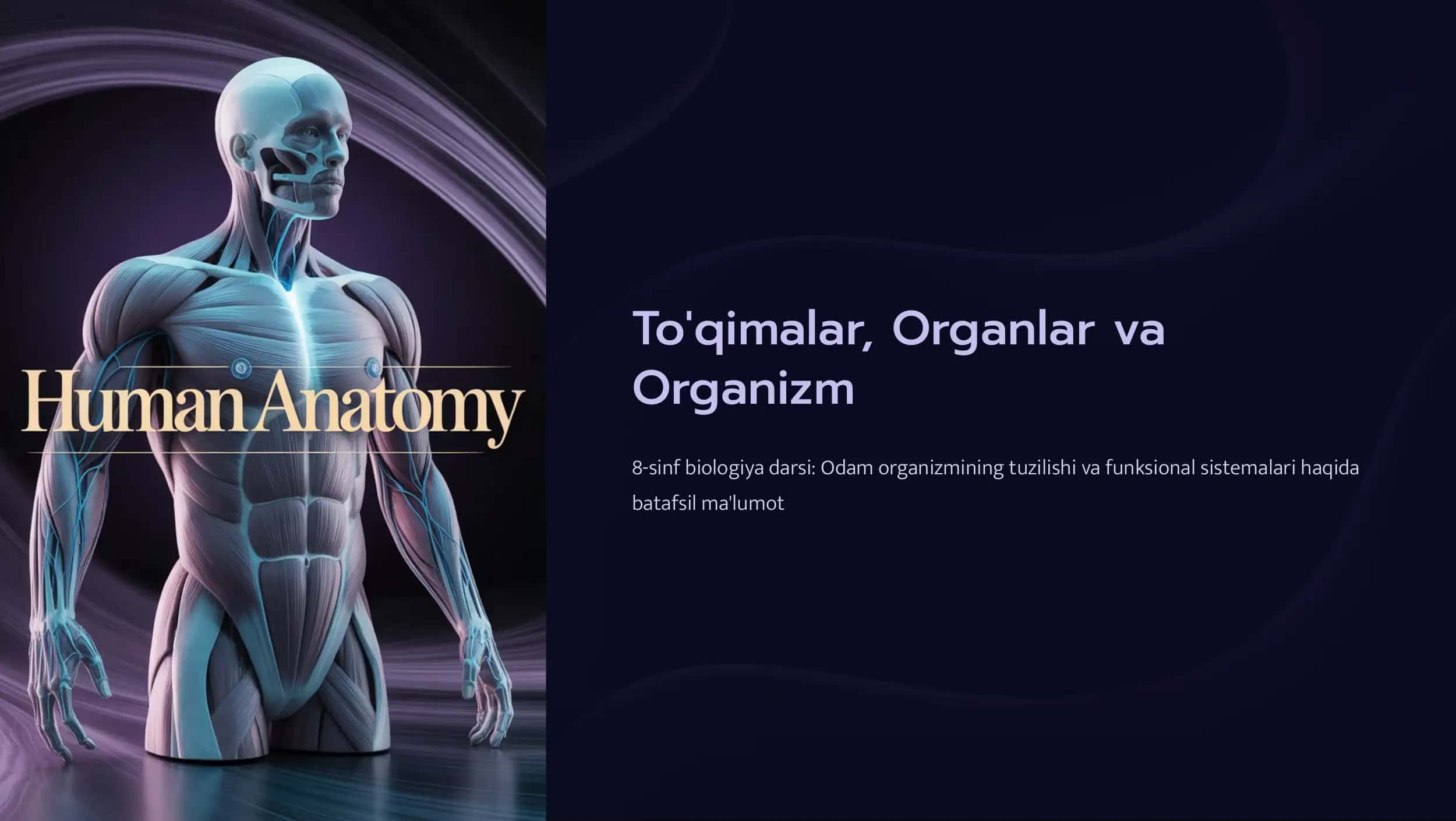To'qimalar, Organlar va Organizm