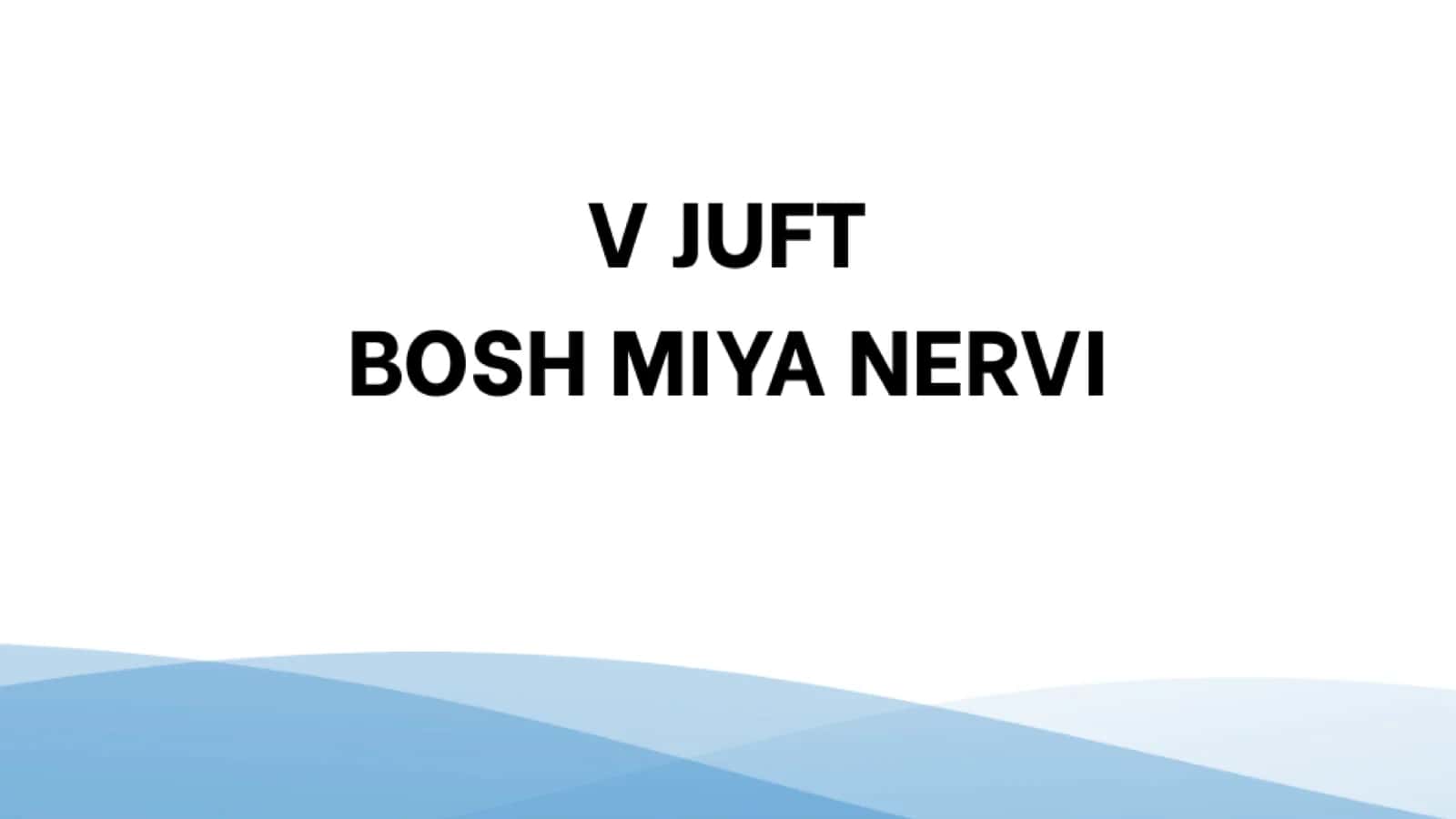 V Juft Bosh Miya Nervi