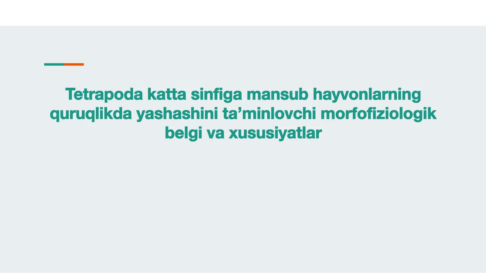 Tetrapoda katta sinfi