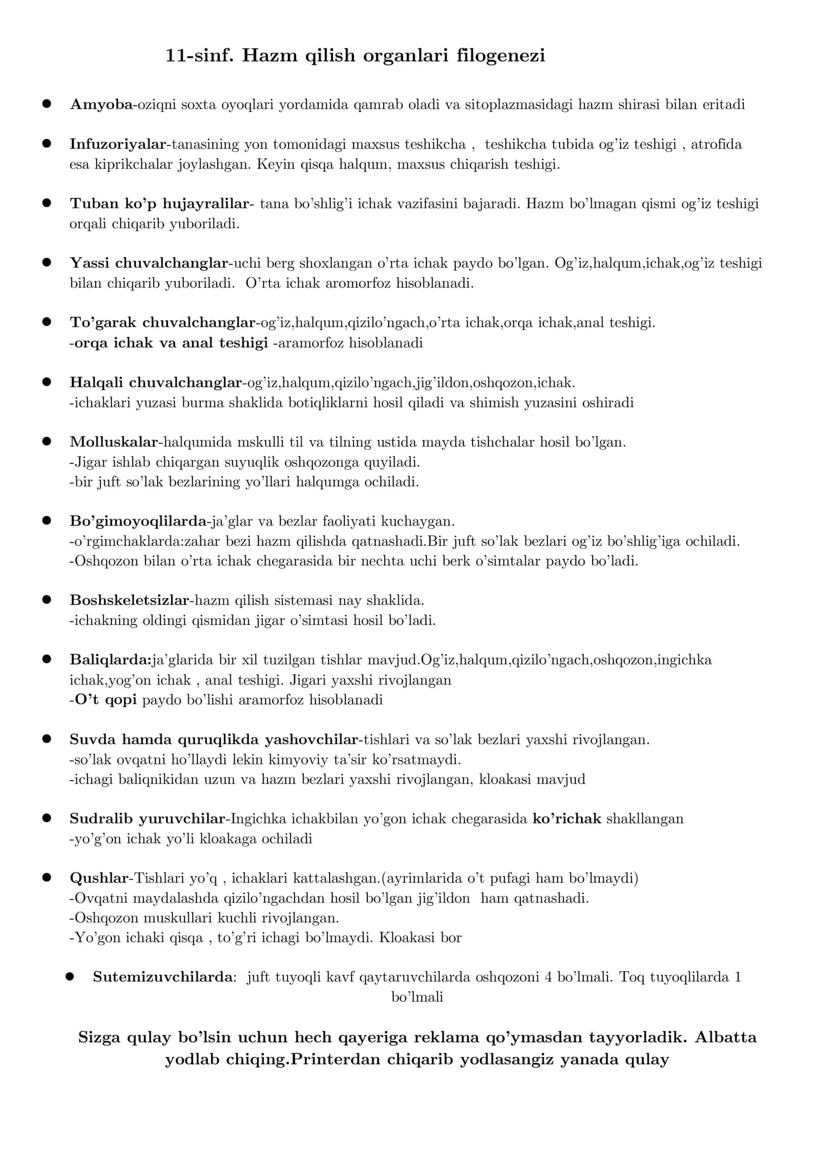 Hazm qilish organlari filogenezi
