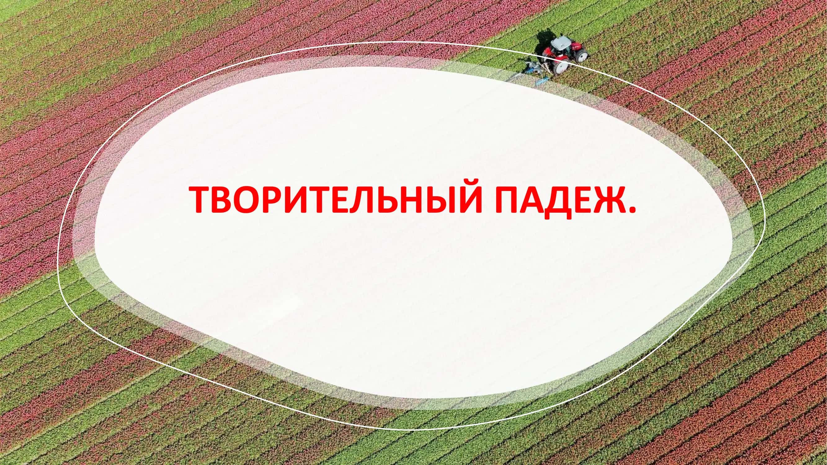 творительный падеж