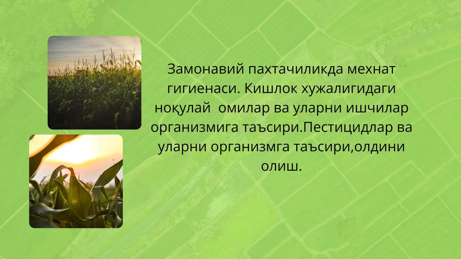 Замонавий пахтачиликда мехнат гигиенаси