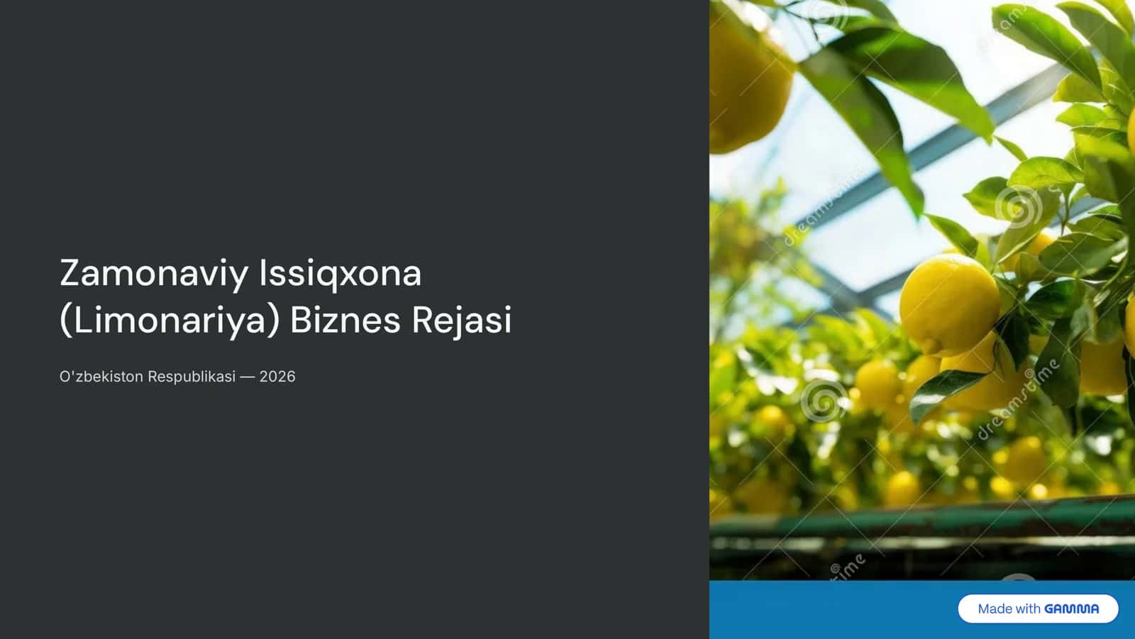 Zamonaviy Issiqxona (Limonariya) Biznes Rejasi