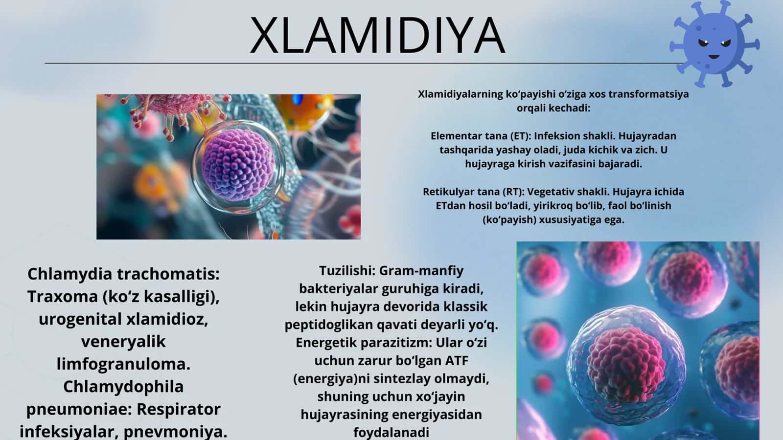XLAMIDIYA