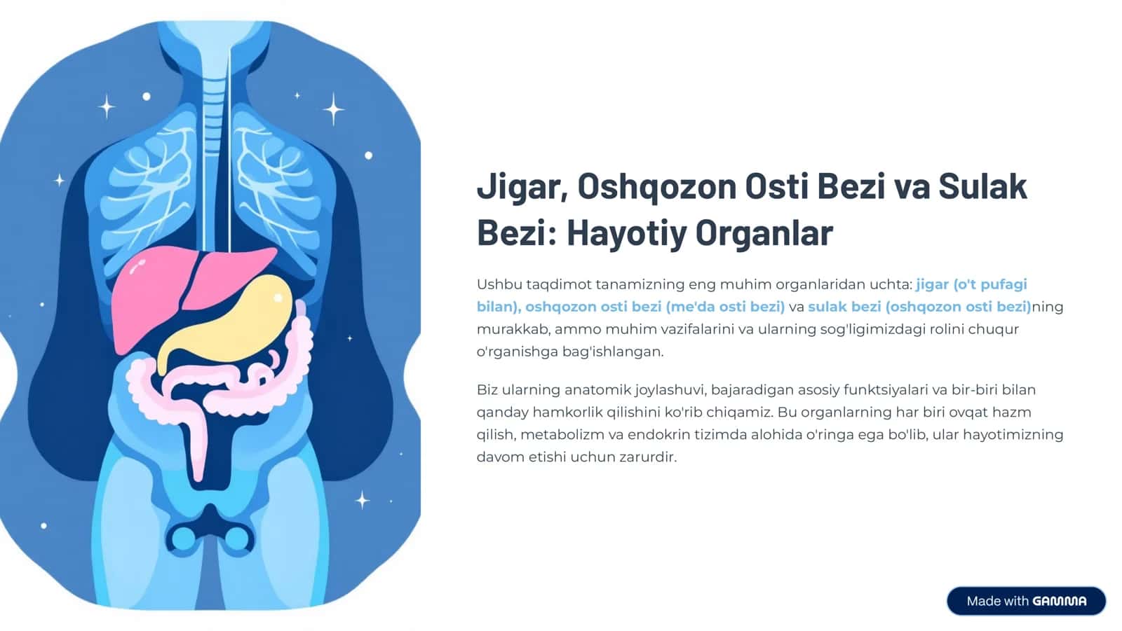 Jigar, Oshqozon Osti Bezi va Sulak Bezi: Hayotiy Organlar