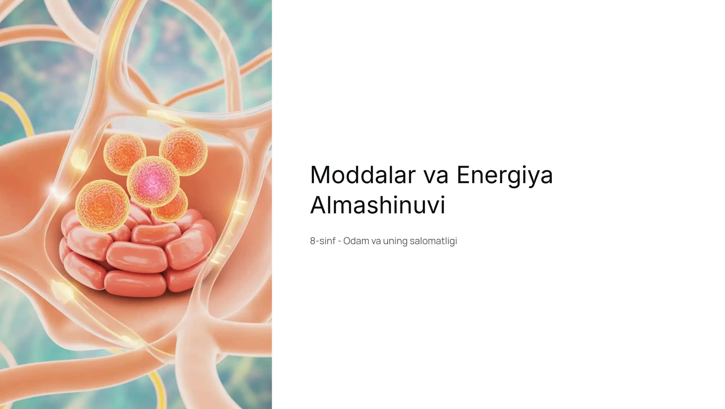 Moddalar va Energiya Almashinuvi
