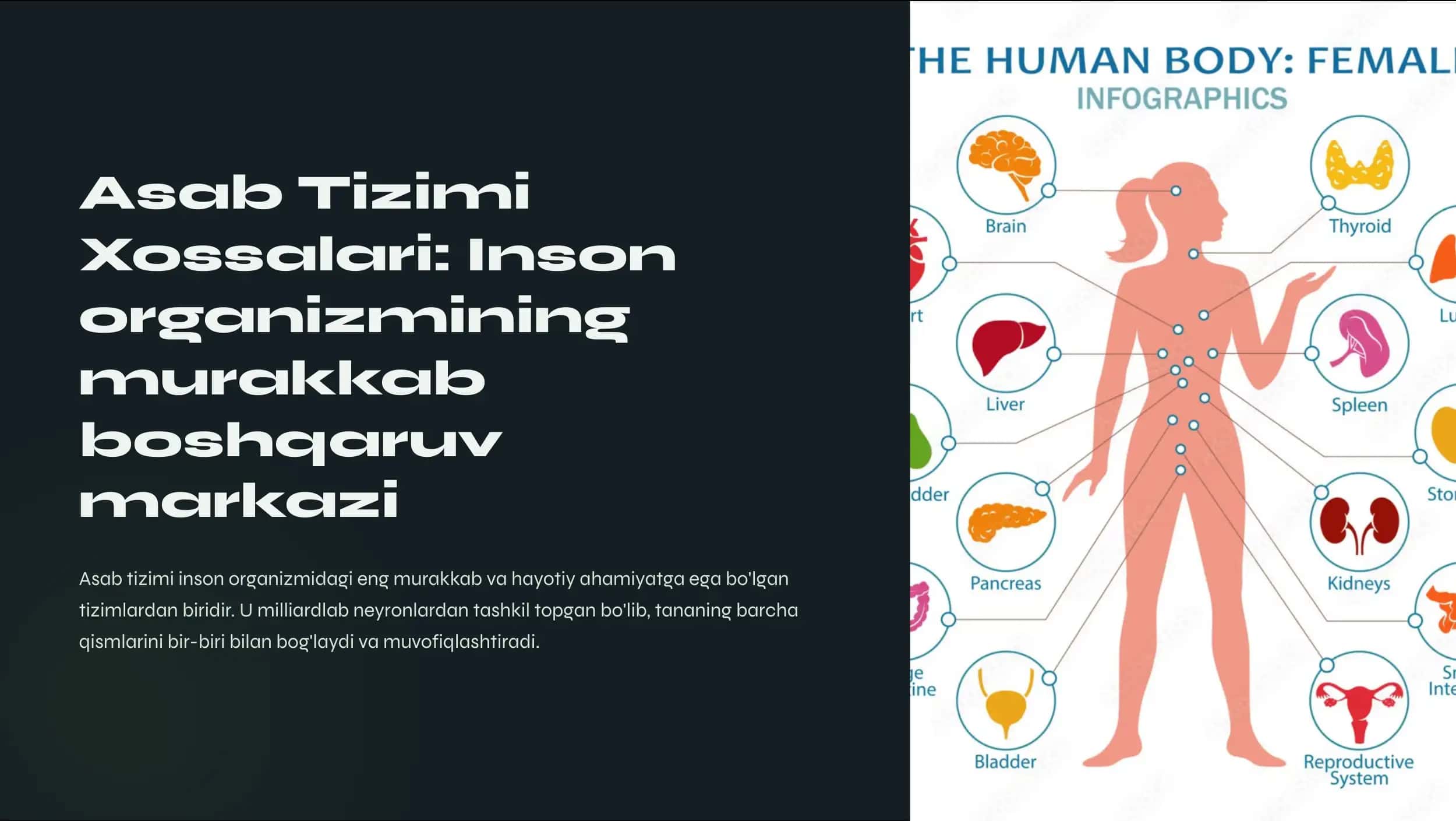 Asab tizimi xossalari