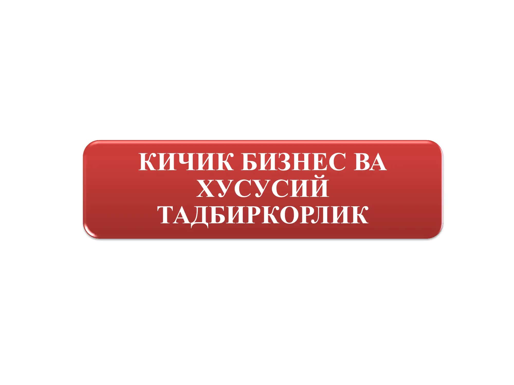 kichik biznes va xususiy tadbirkorlik
